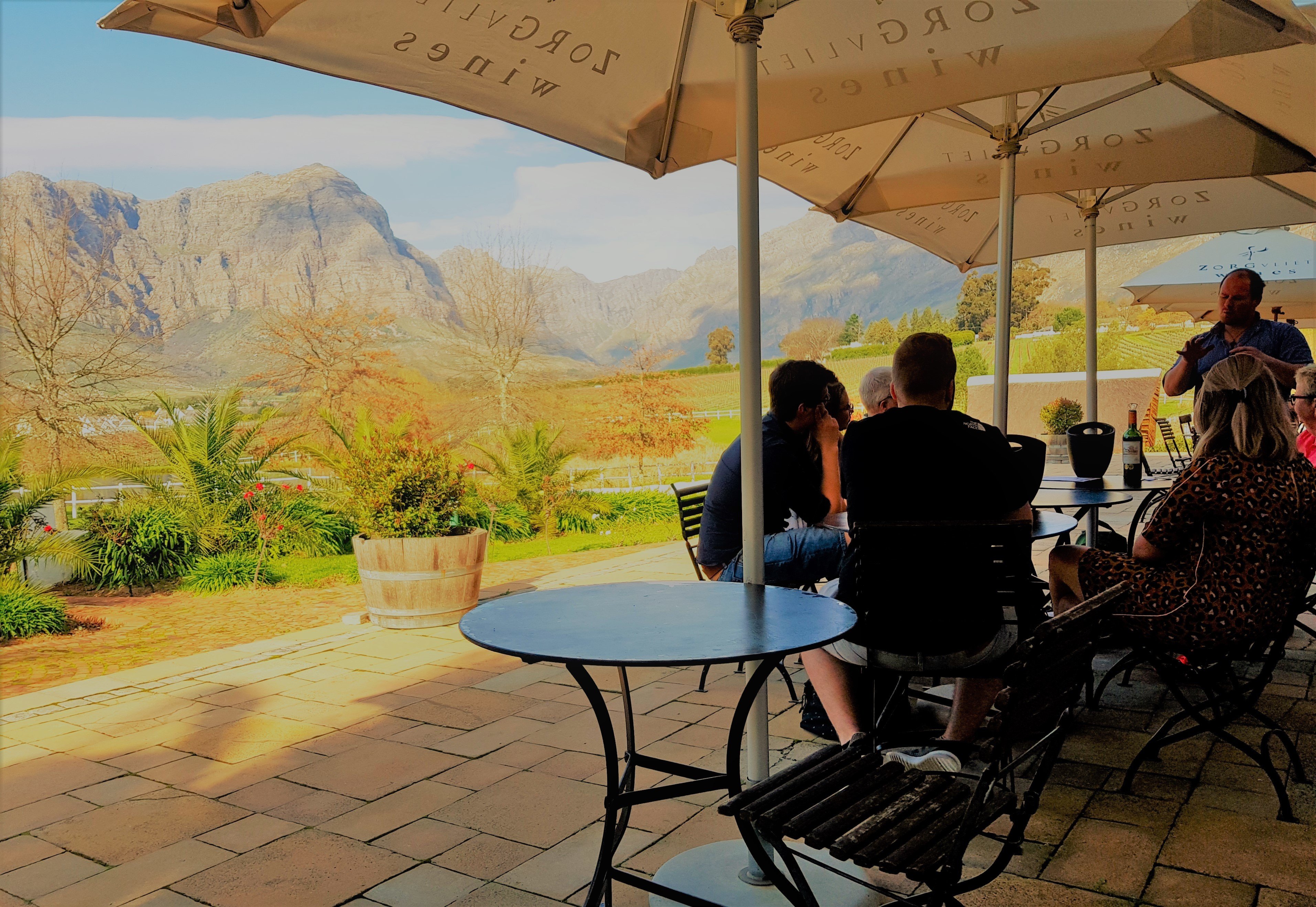 Stellenbosch Southern Route Wine Hop-On Hop-Off Tour
