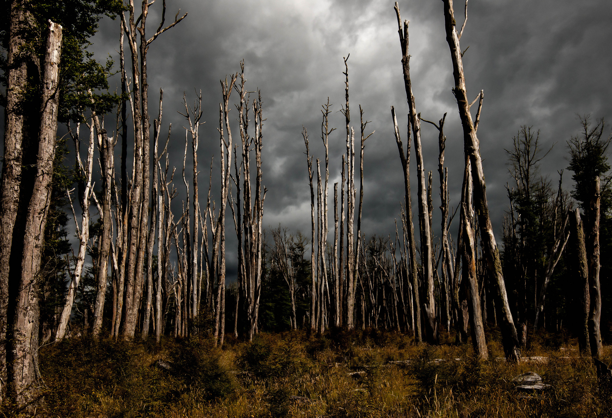 From Queenstown: Lord Of The Rings Tour to Glenorchy
