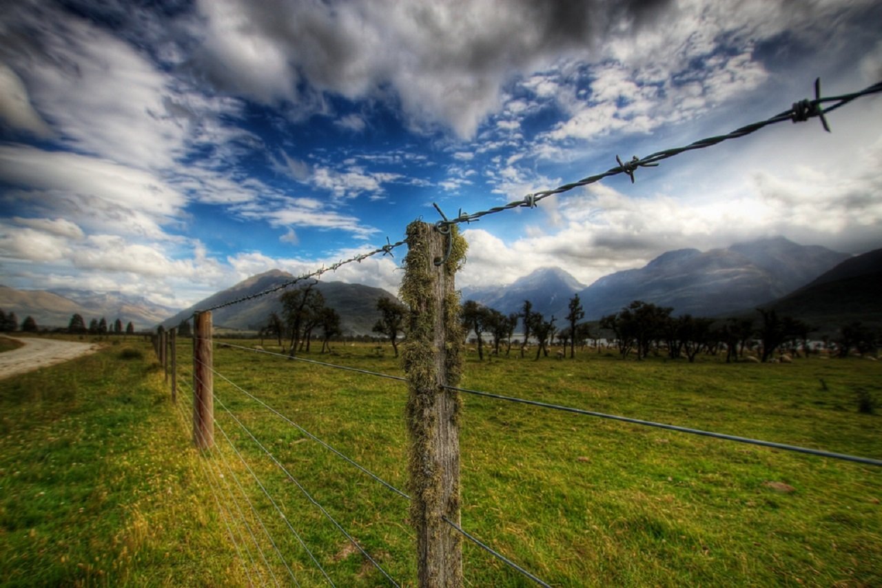 South Island tour photo — image 6