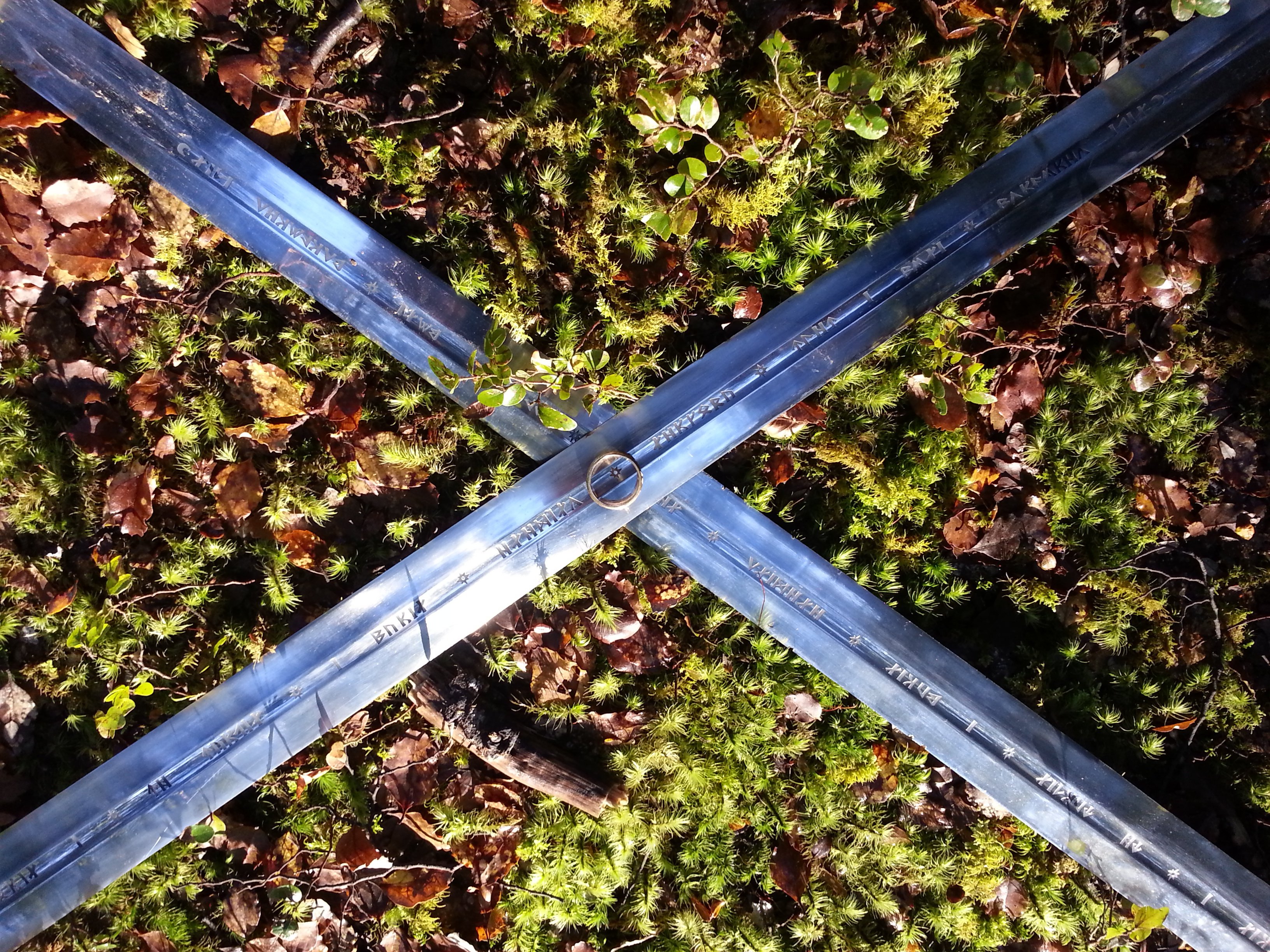 South Island tour photo — image 12