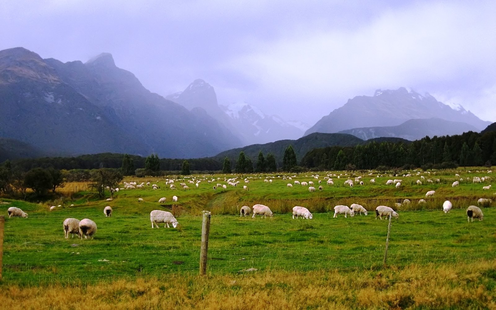 South Island tour photo — image 14