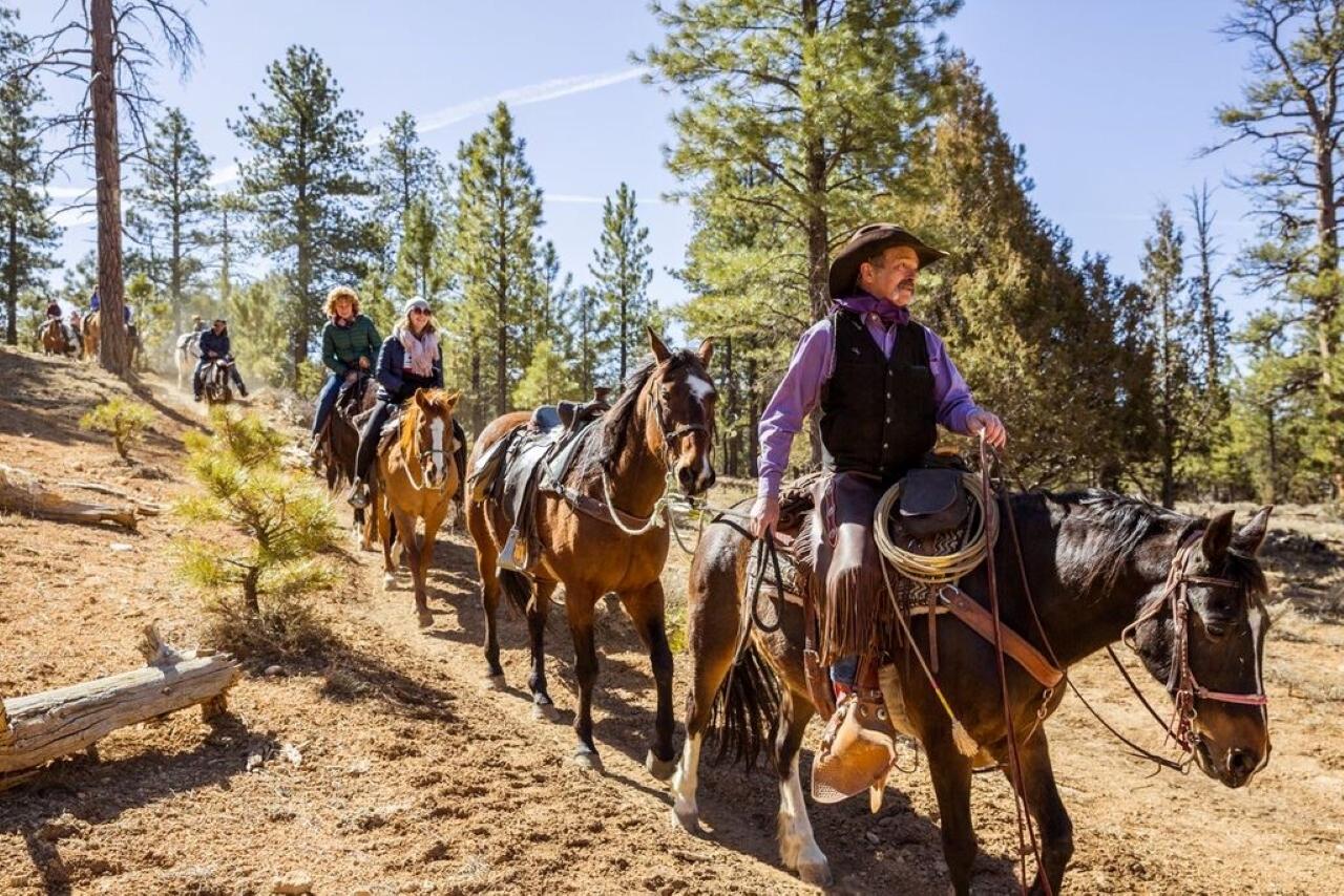 Red Canyon Horseback Riding Adventure – Dixie National Forest