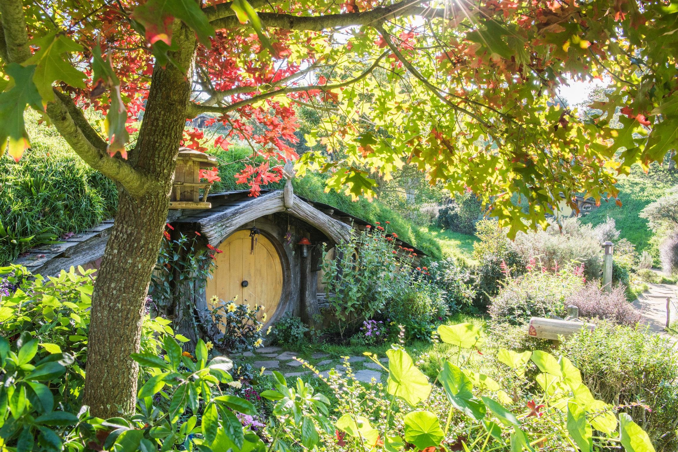 Auckland: Hobbiton Movie Set & Waitomo Caves Day Tour with Buffet Lunch