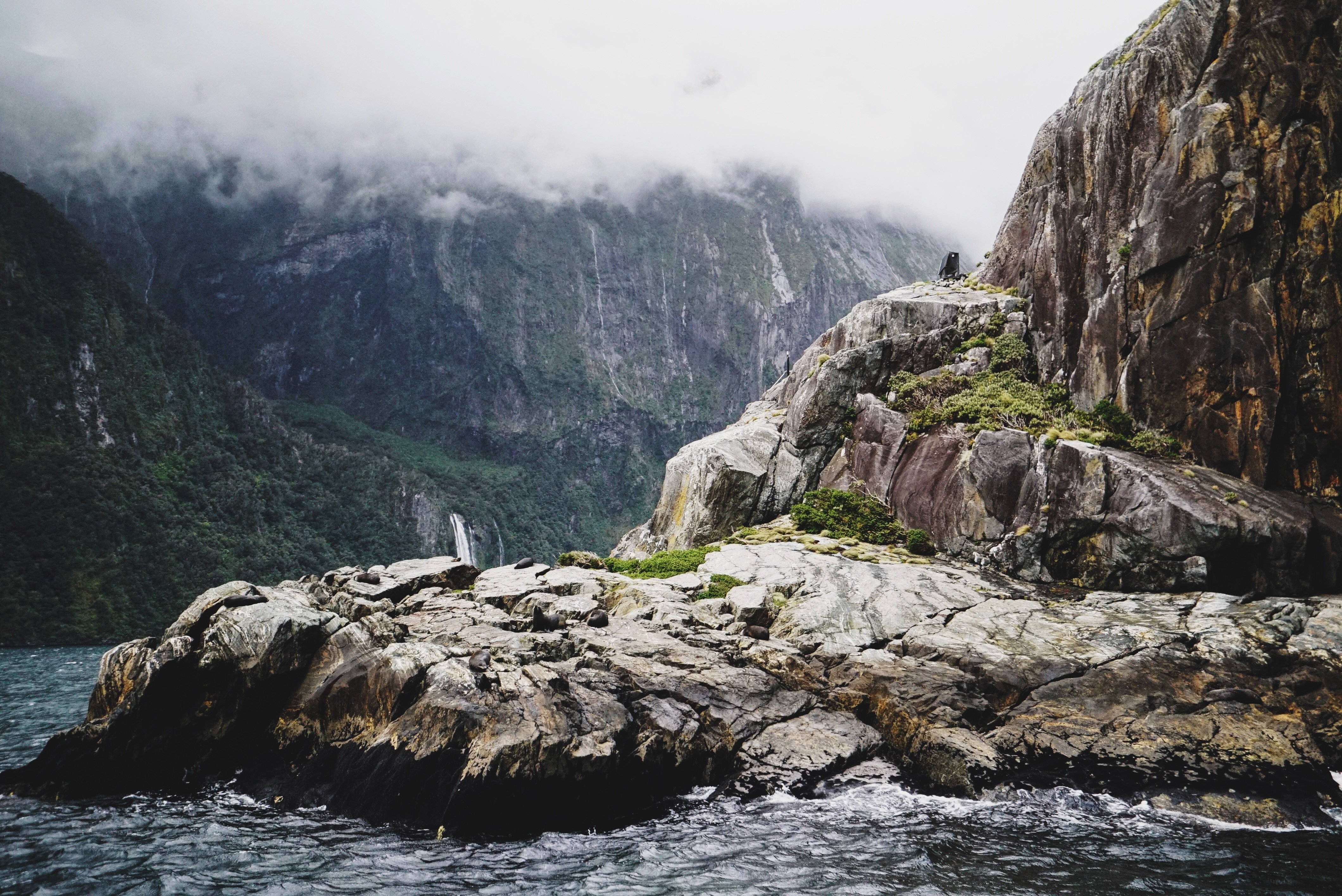 Milford Sound Premium Small-Group Day Tour from Queenstown