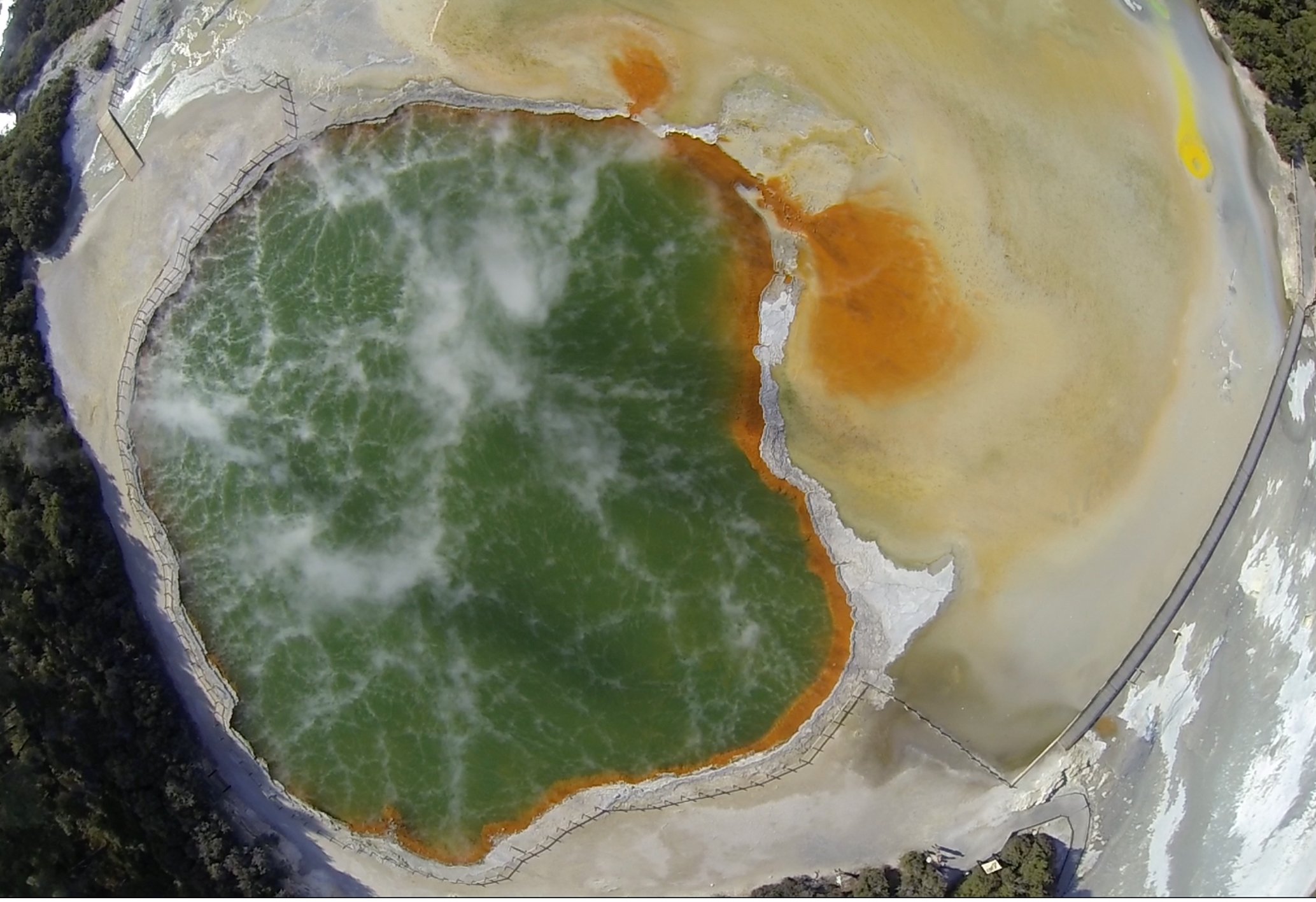 From Rotorua: Wai O Tapu & Waimangu Eco Thermal Morning Tour