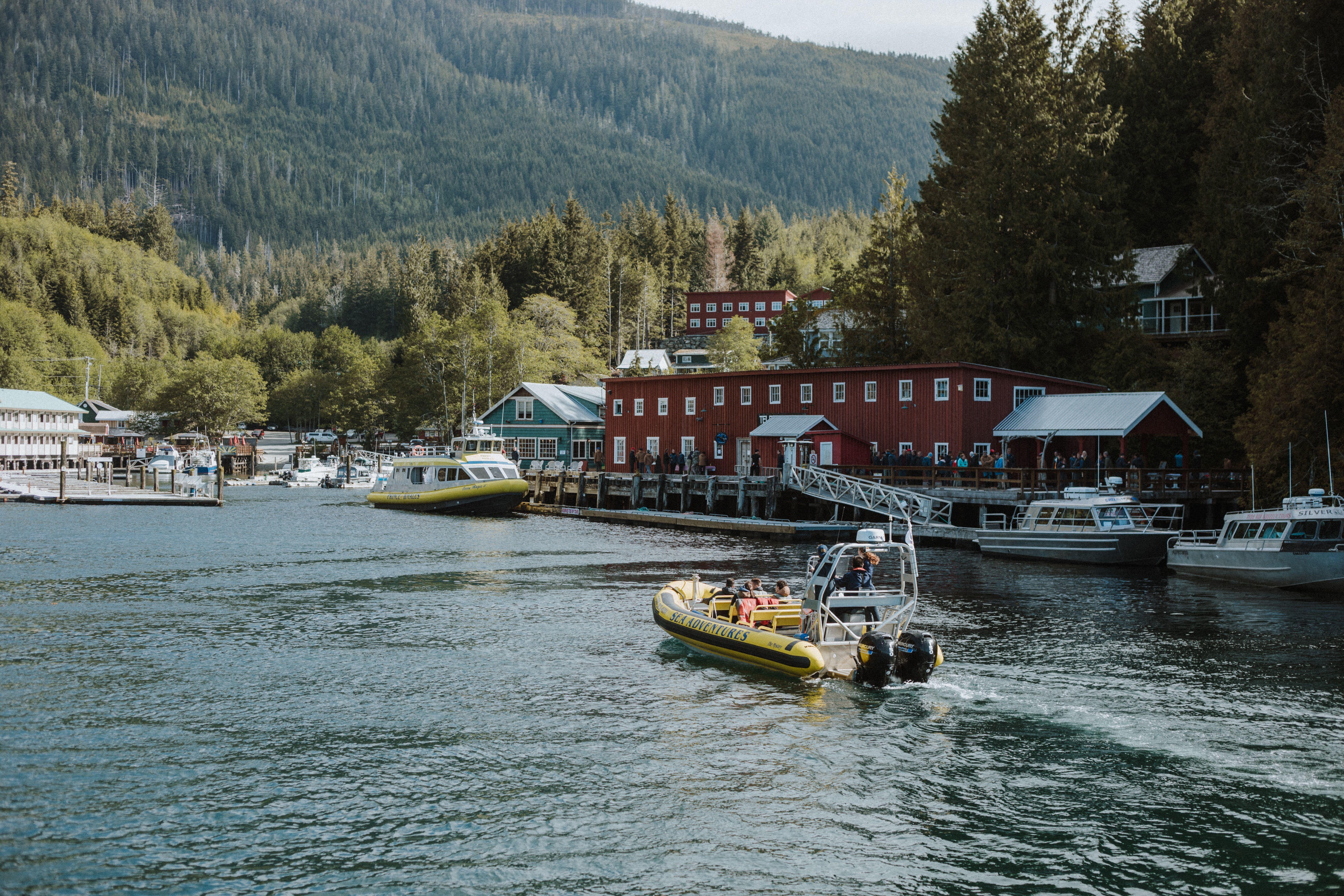 Telegraph Cove Zodiac Whale Watching Adventure