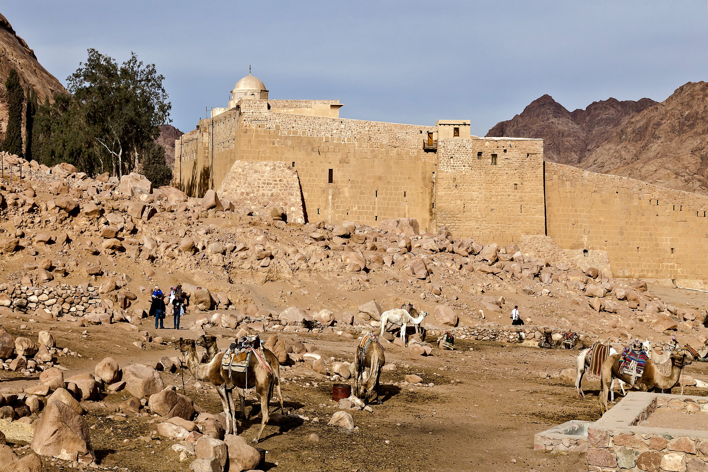 Mount Sinai Sunrise Trek & St. Catherine's Monastery from Sharm El Sheikh