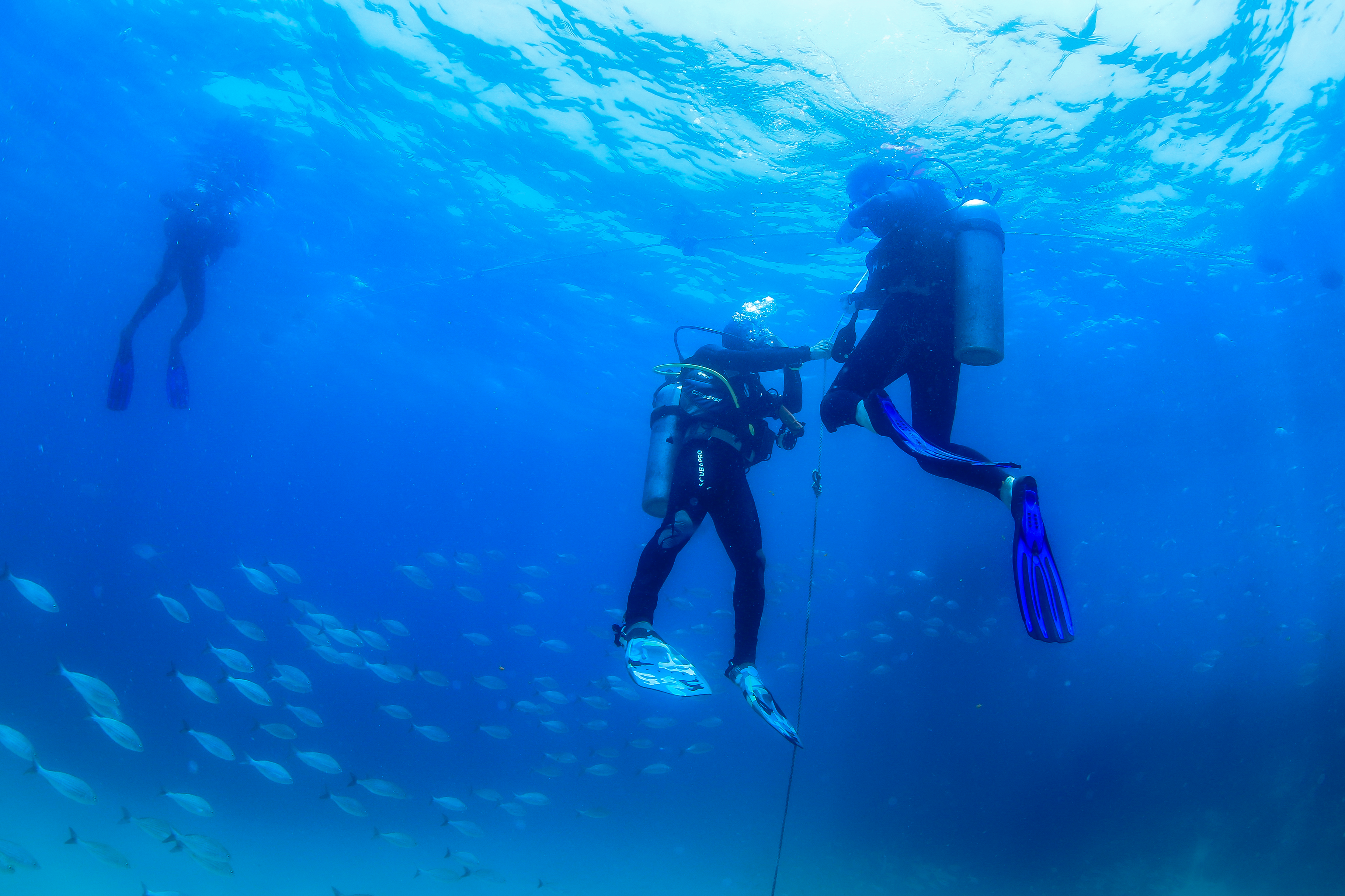 Los Cabos Introductory Scuba Diving Adventure in the Sea of Cortez