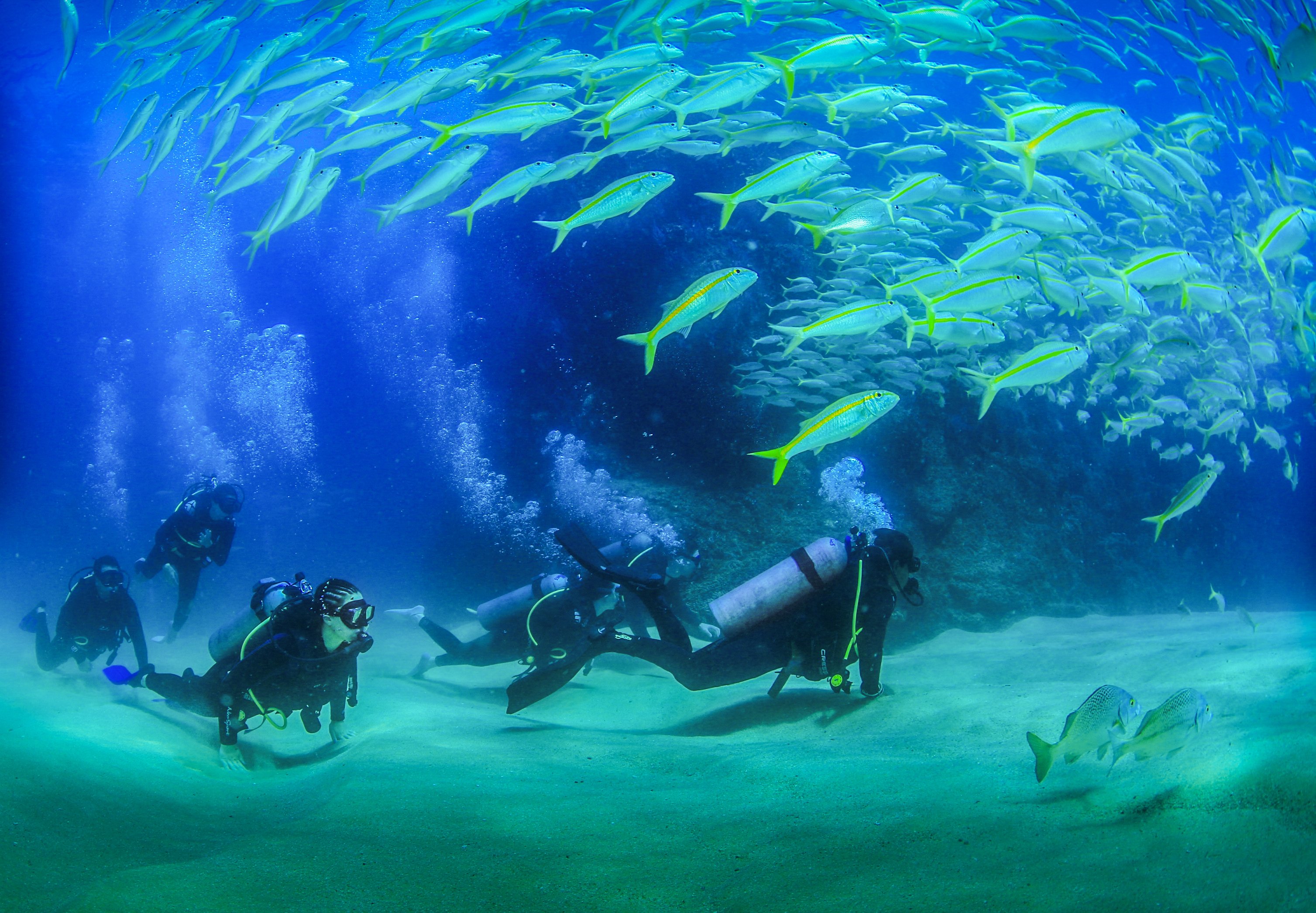 Los Cabos Introductory Scuba Diving Adventure in the Sea of Cortez