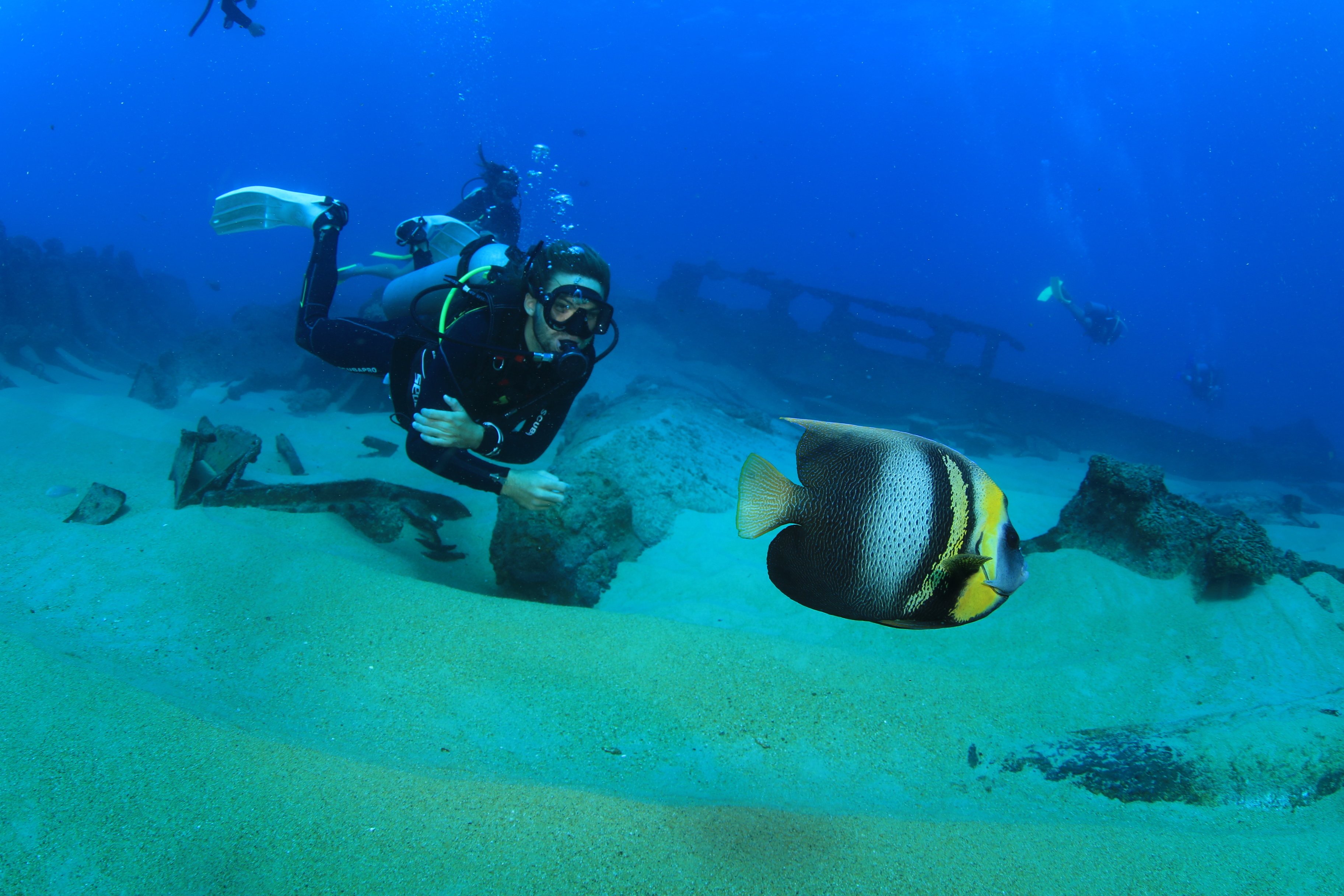 Los Cabos Introductory Scuba Diving Adventure in the Sea of Cortez