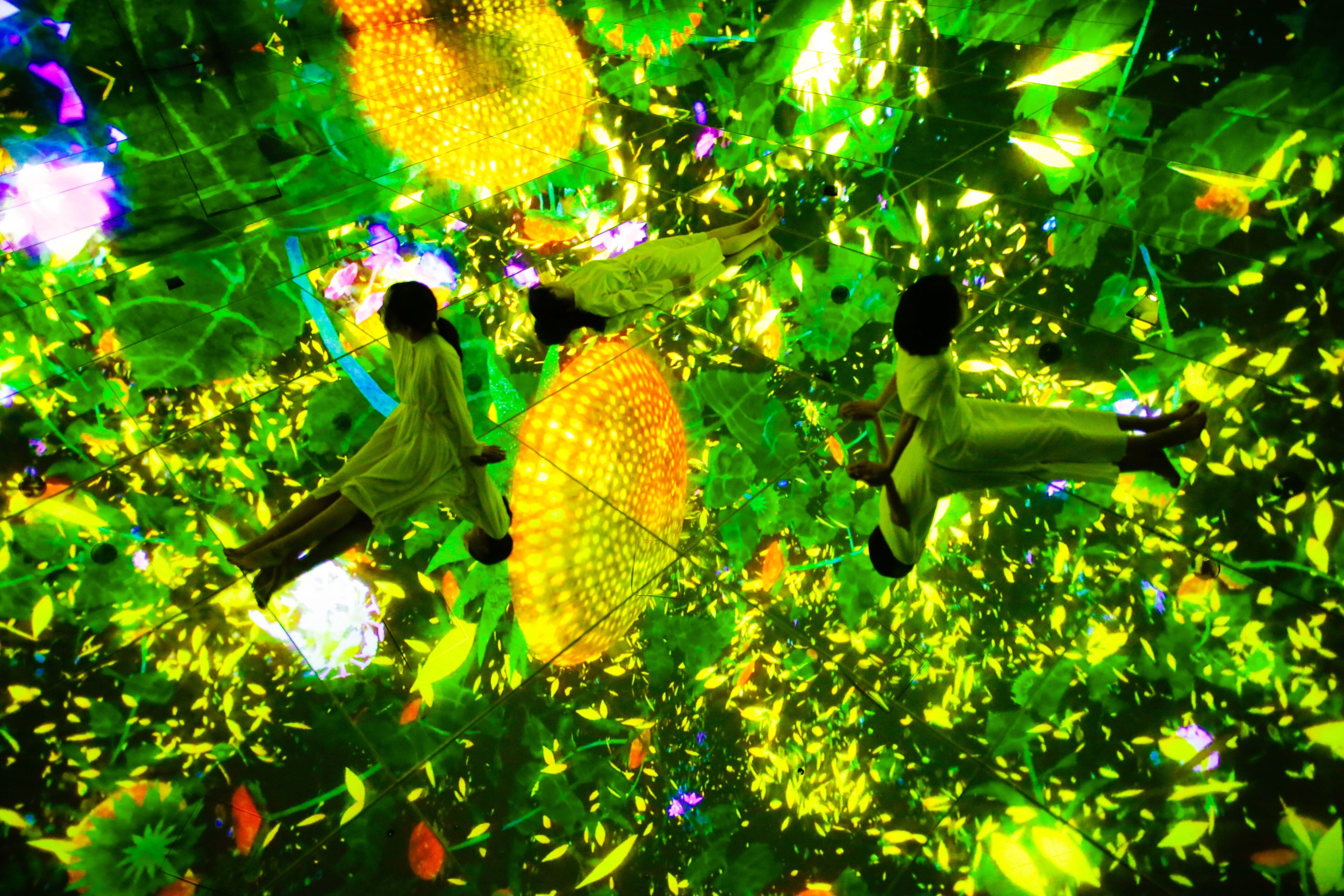 teamLab Planets TOKYO Digital Art Museum Entry