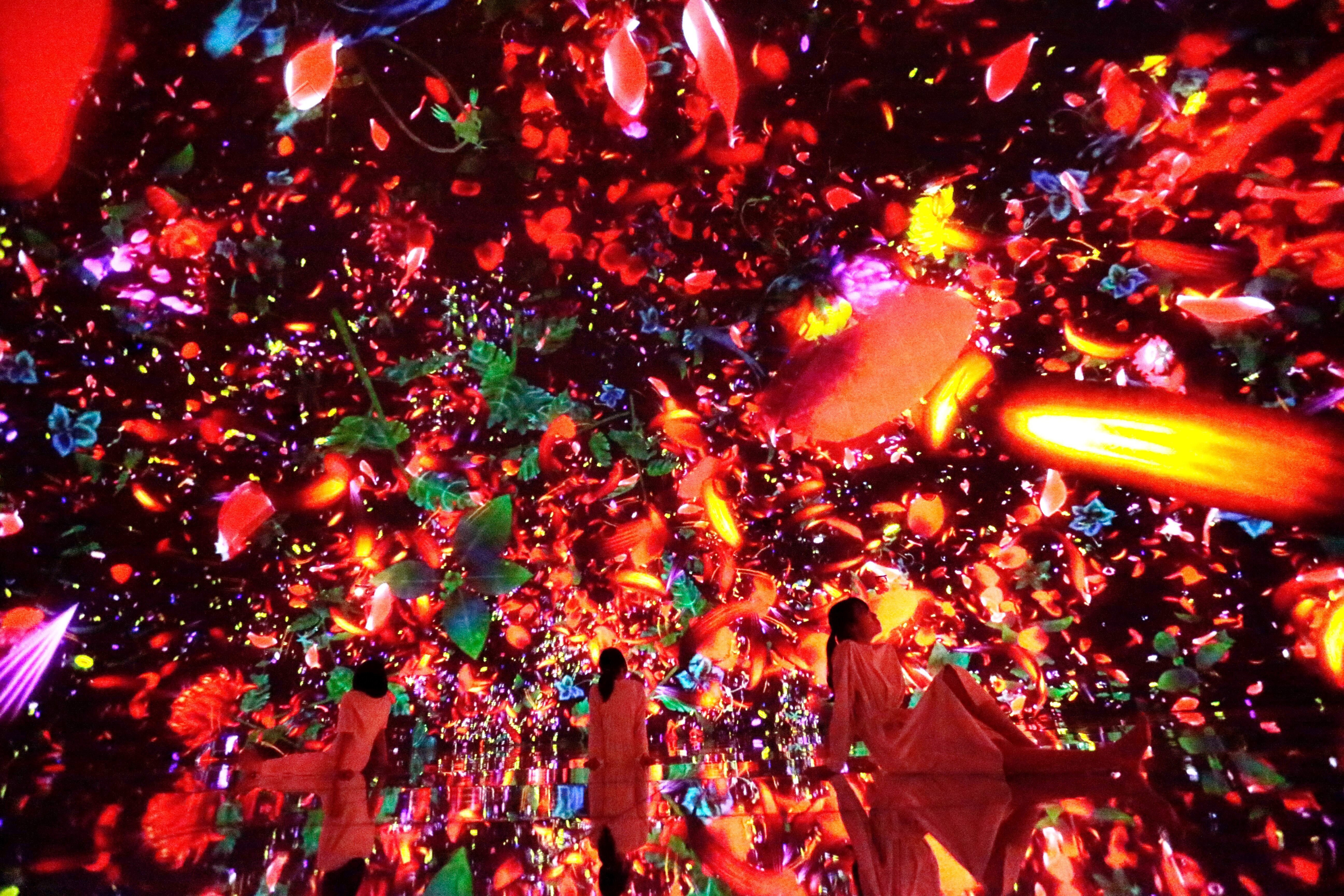 teamLab Planets TOKYO Digital Art Museum Entry