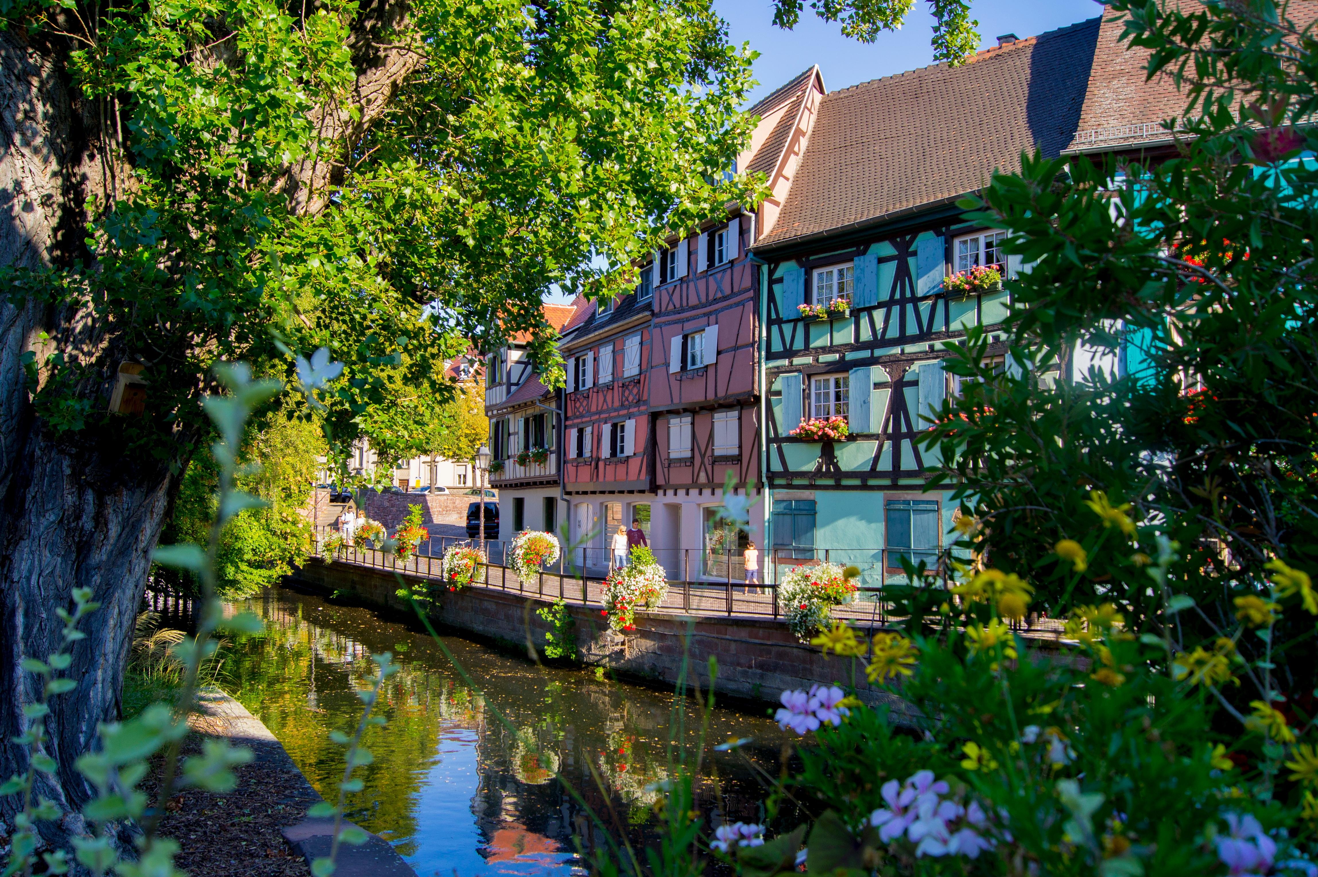 Alsace Heritage Discovery: Castles, Wine Route & Medieval Villages
