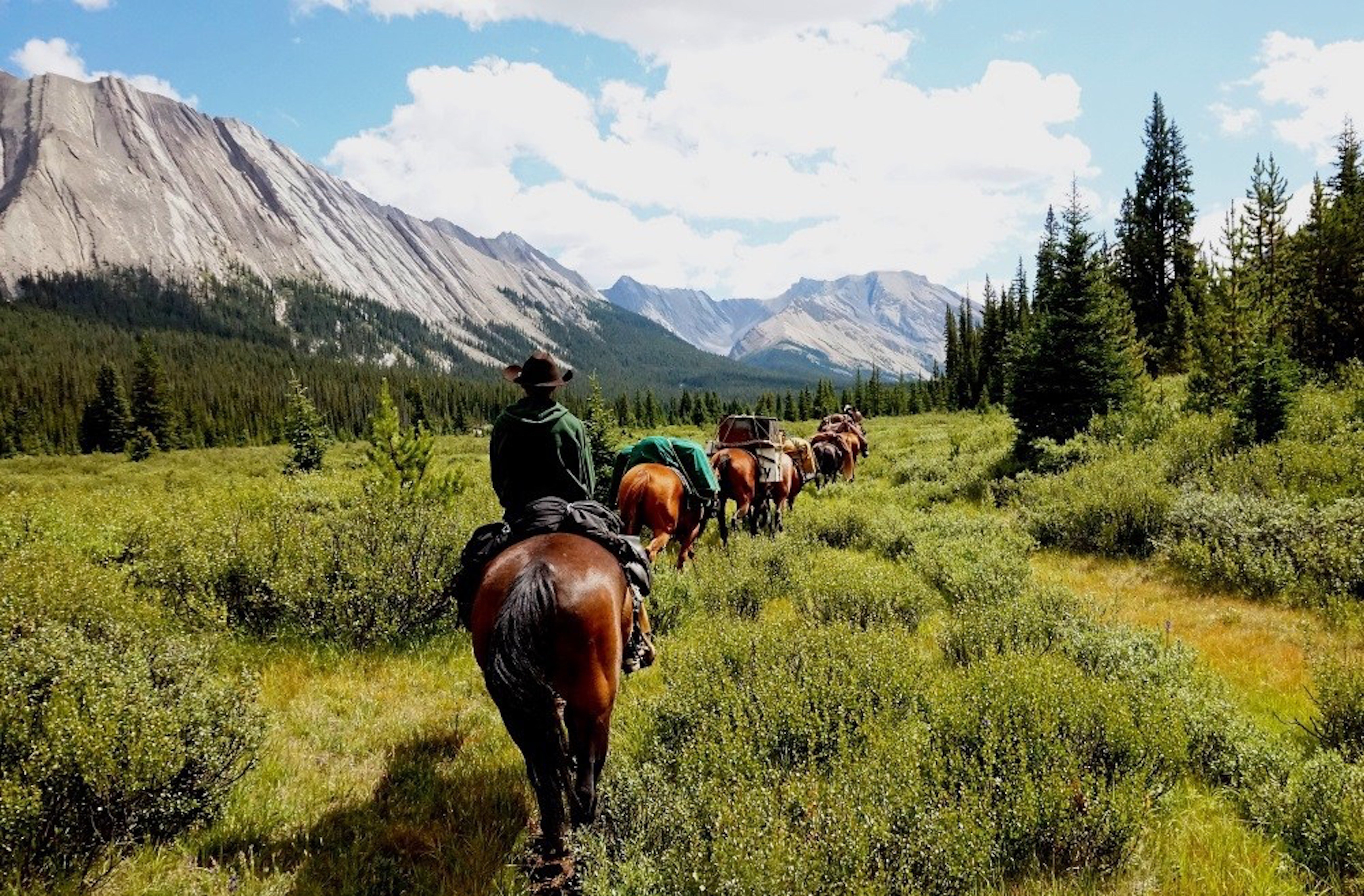 Banff helicopter tour and horseback ride combo above Abraham Lake