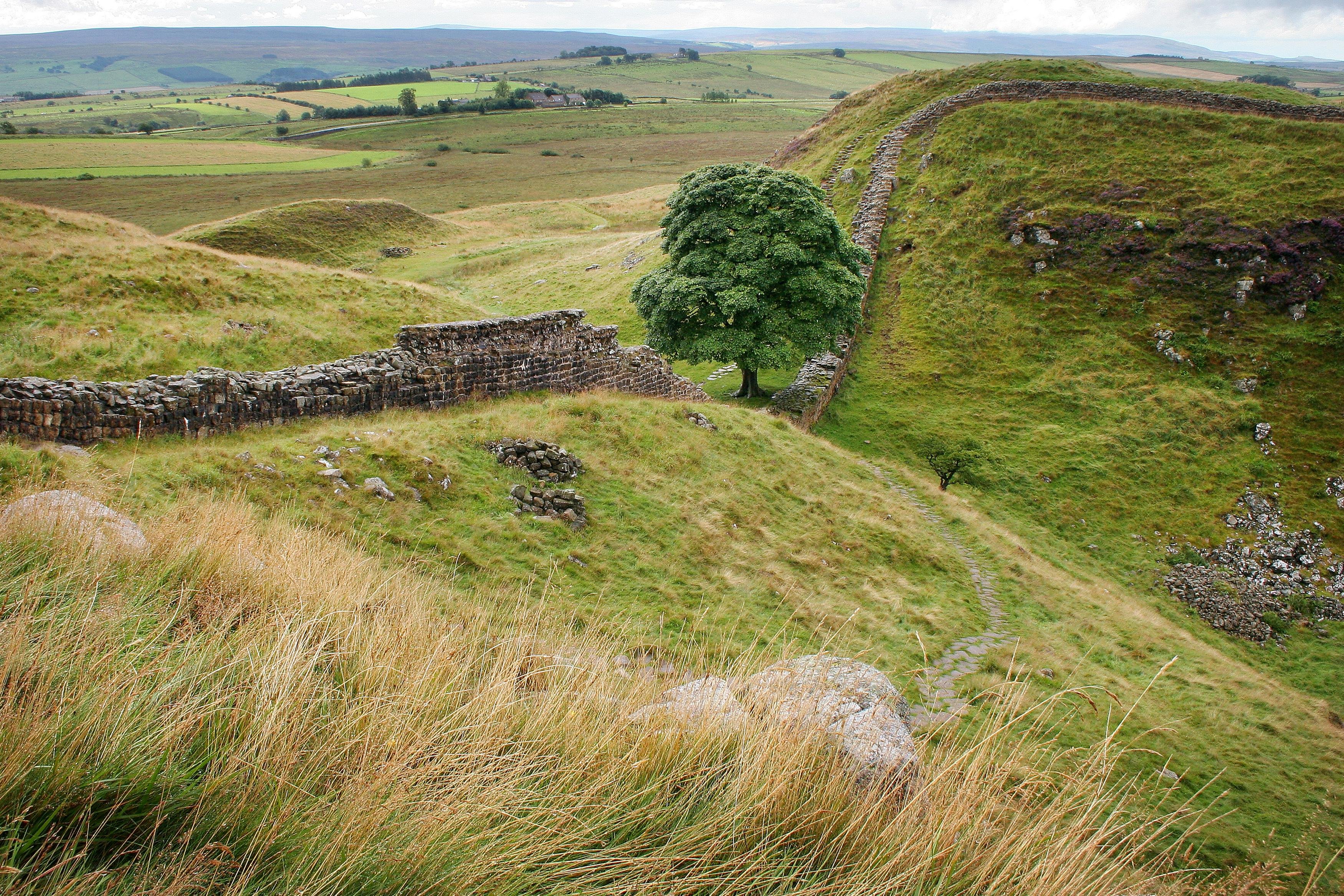 Hadrians Wall tour - Roman wall across the Northumberland crags — image 3