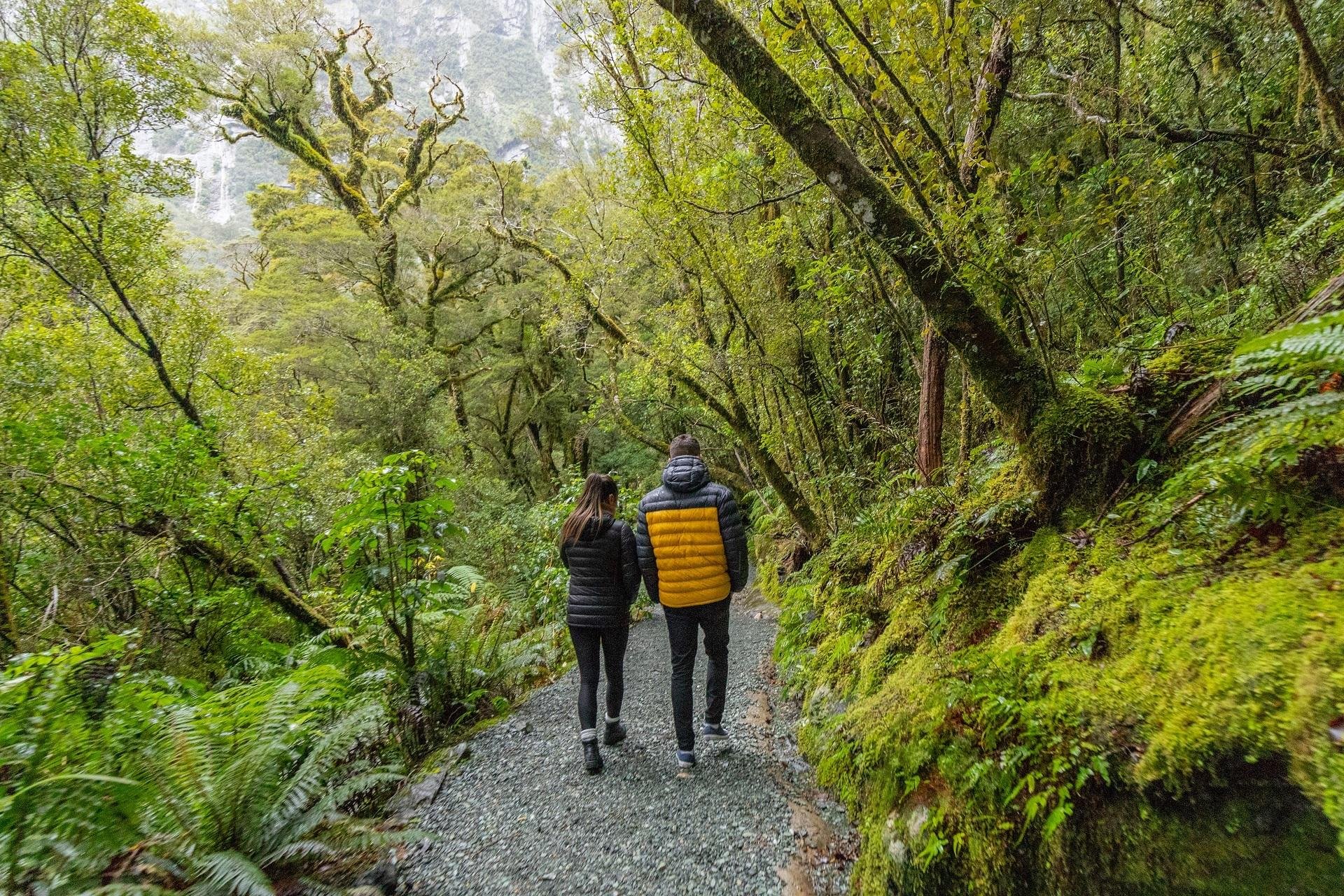 Milford Sound Premium Small-Group Day Tour from Queenstown
