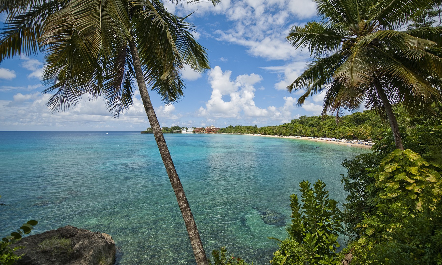 Sosua Beach SUP & Relaxation Experience