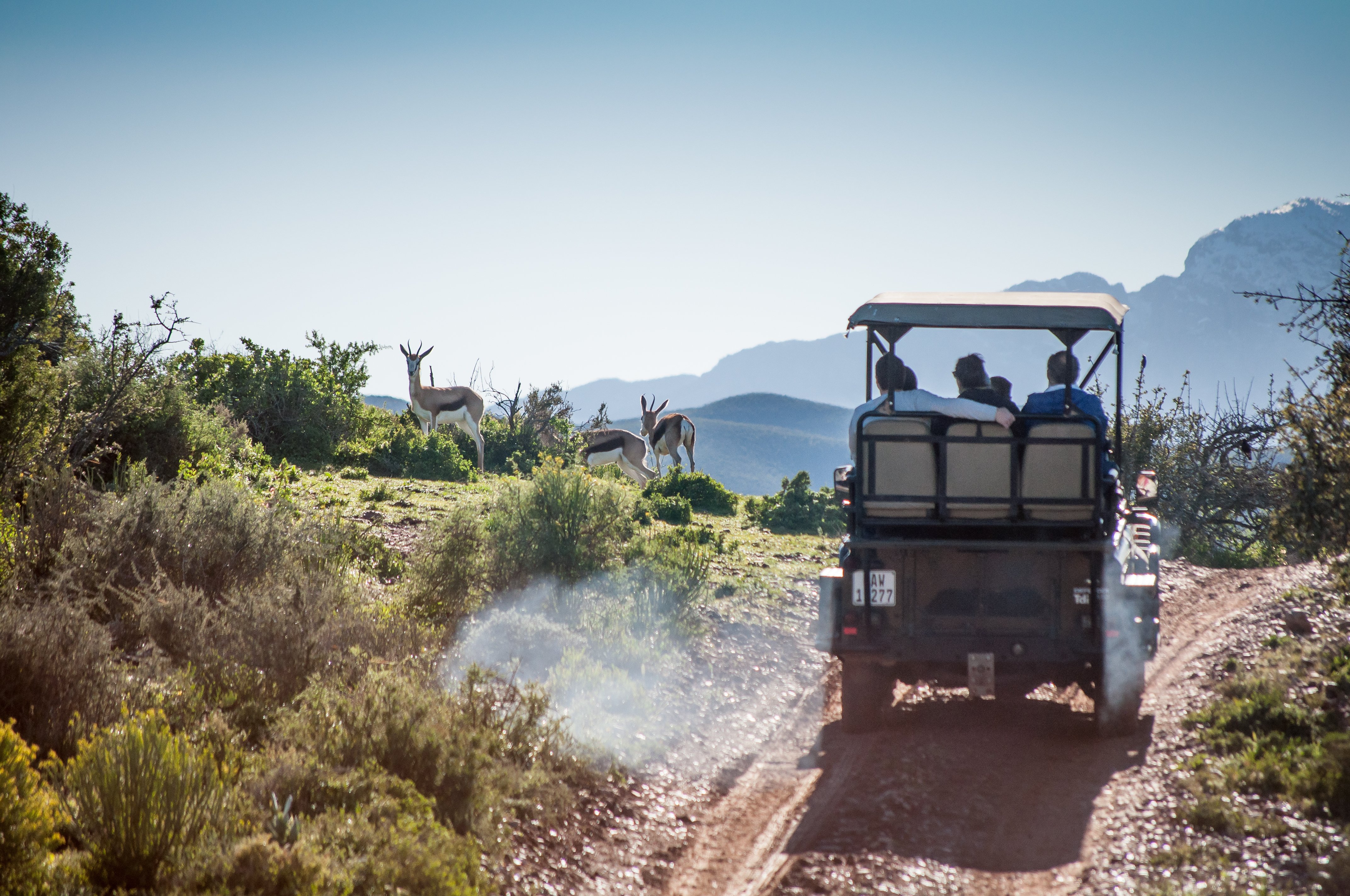 Cape Town: 2-Day Garden Route Safari & Luxury Glamping Experience