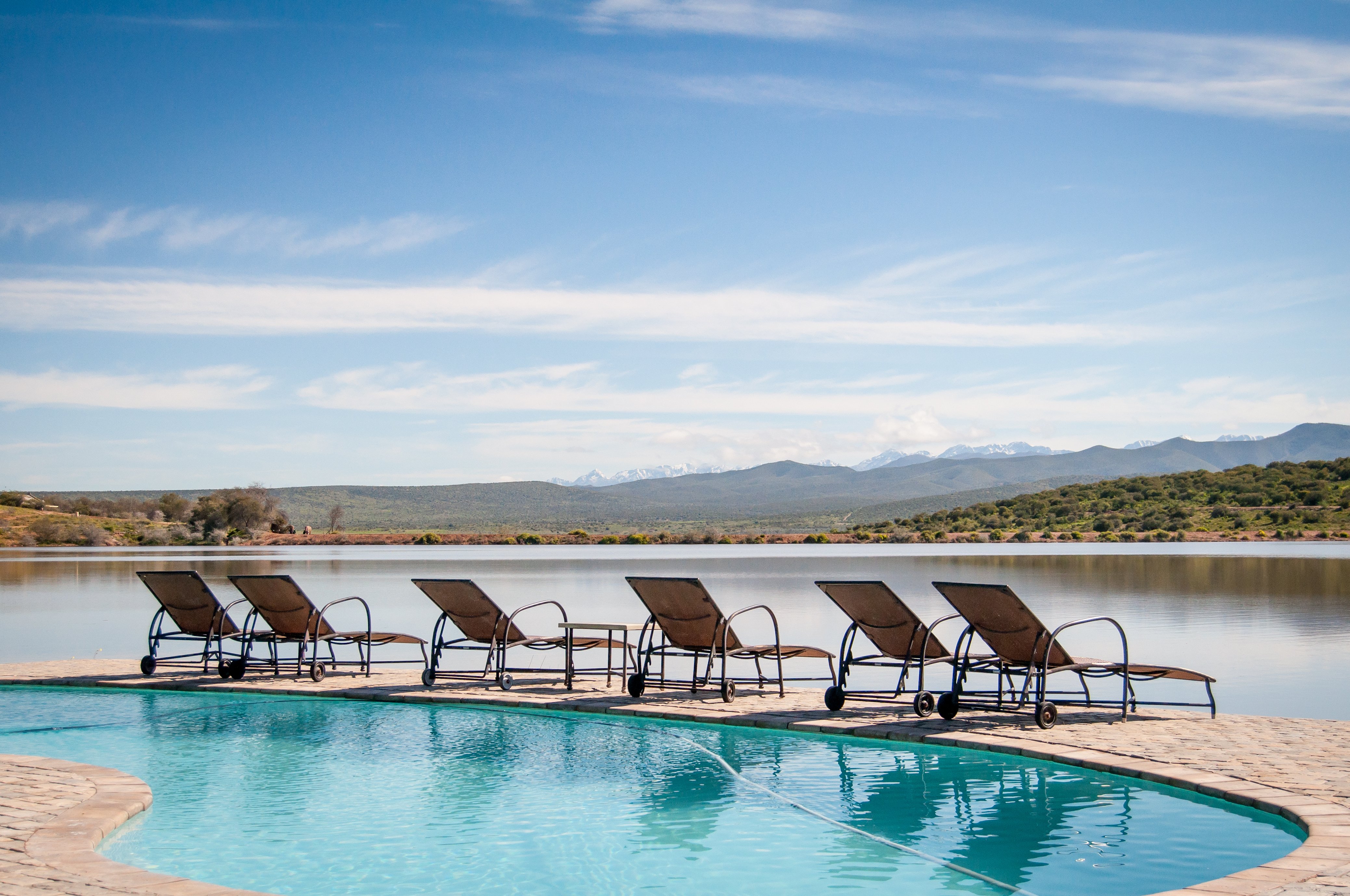 Cape Town: 2-Day Garden Route Safari & Luxury Glamping Experience