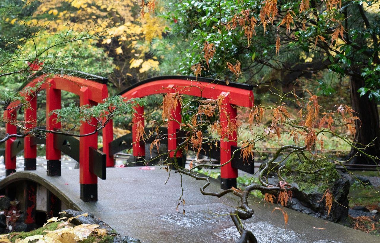 Day Trip from Vancouver to Victoria and Butchart Gardens