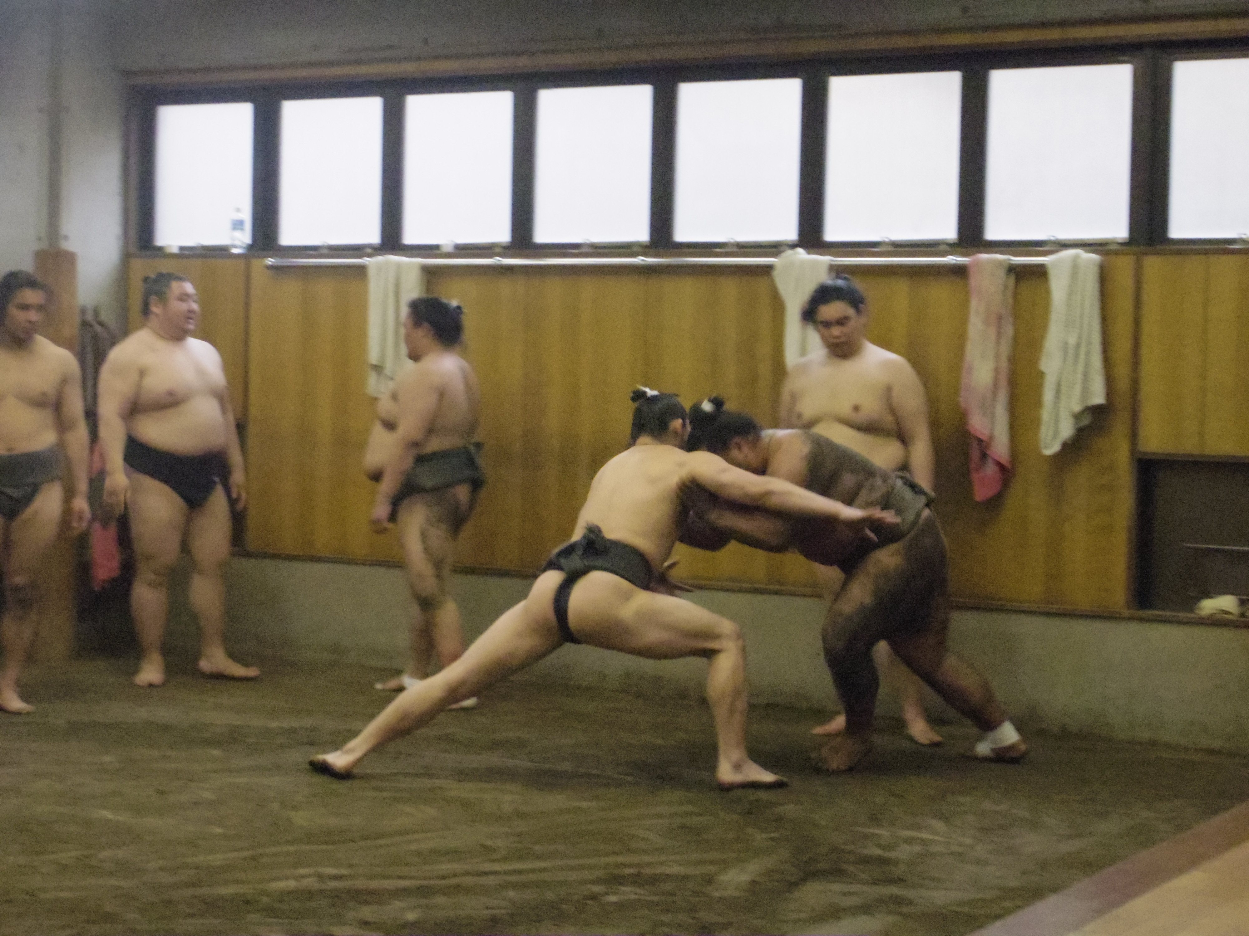 Sumo stable tour — morning practice (asageiko) inside a Tokyo heya — image 9
