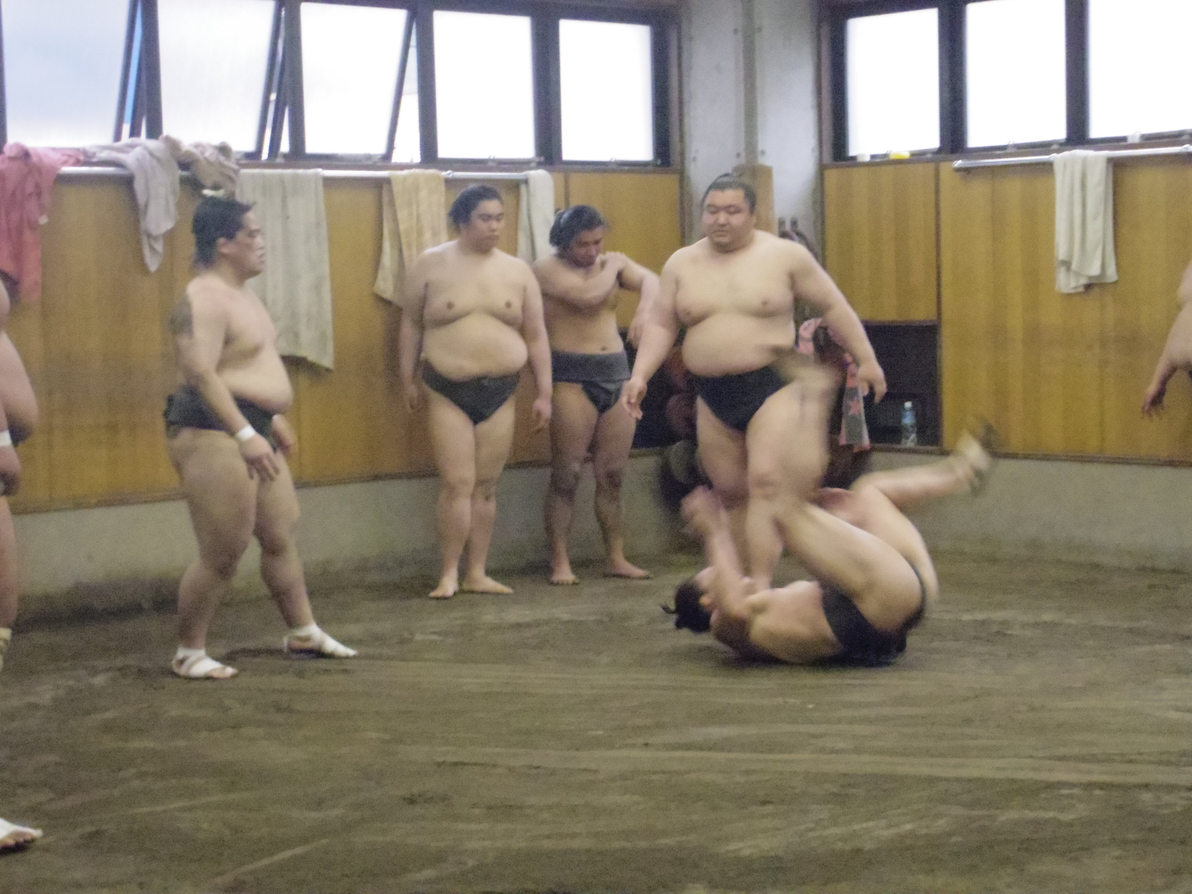 Sumo stable tour — morning practice (asageiko) inside a Tokyo heya — image 11