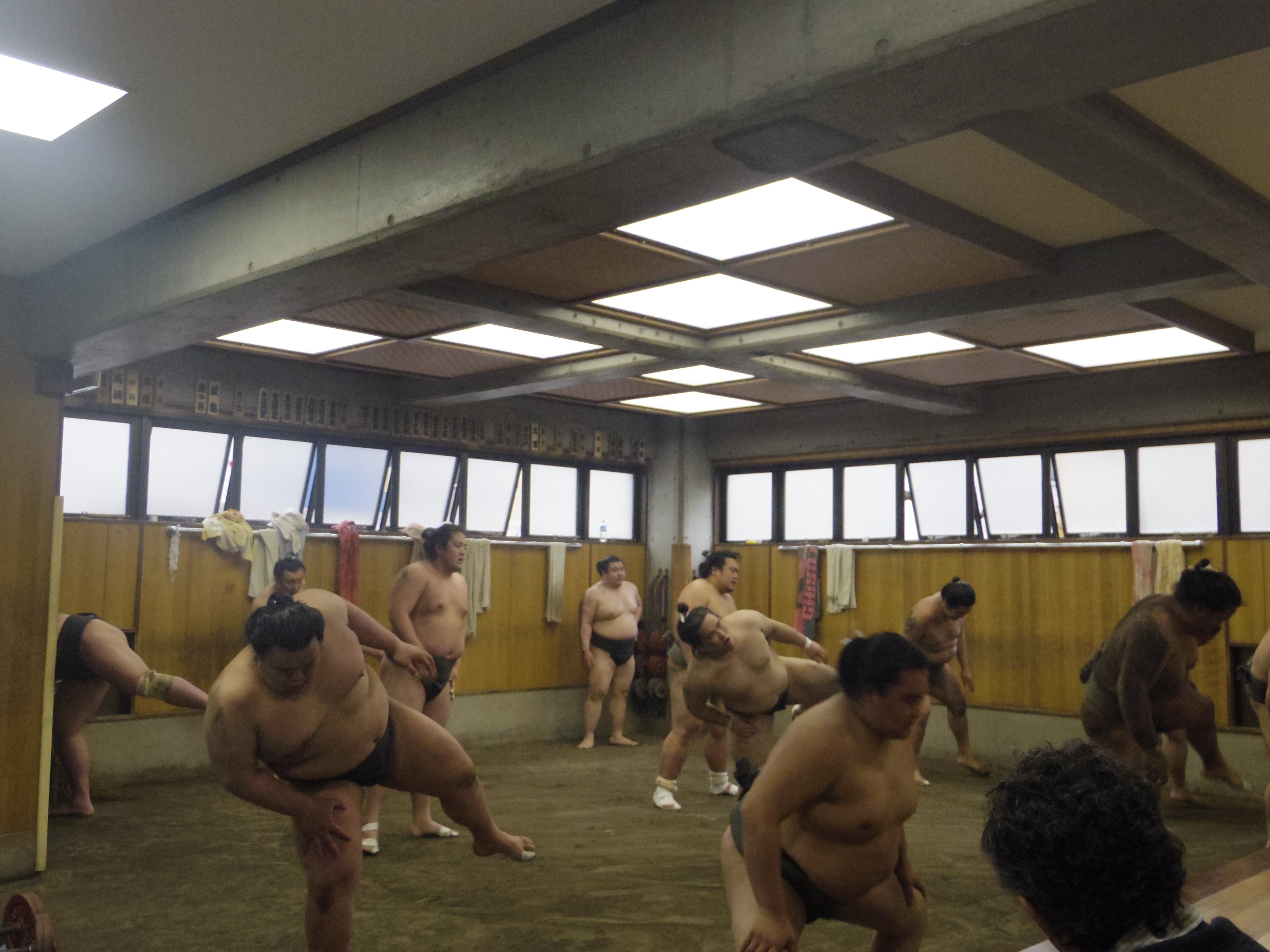 Sumo stable tour — morning practice (asageiko) inside a Tokyo heya — image 13