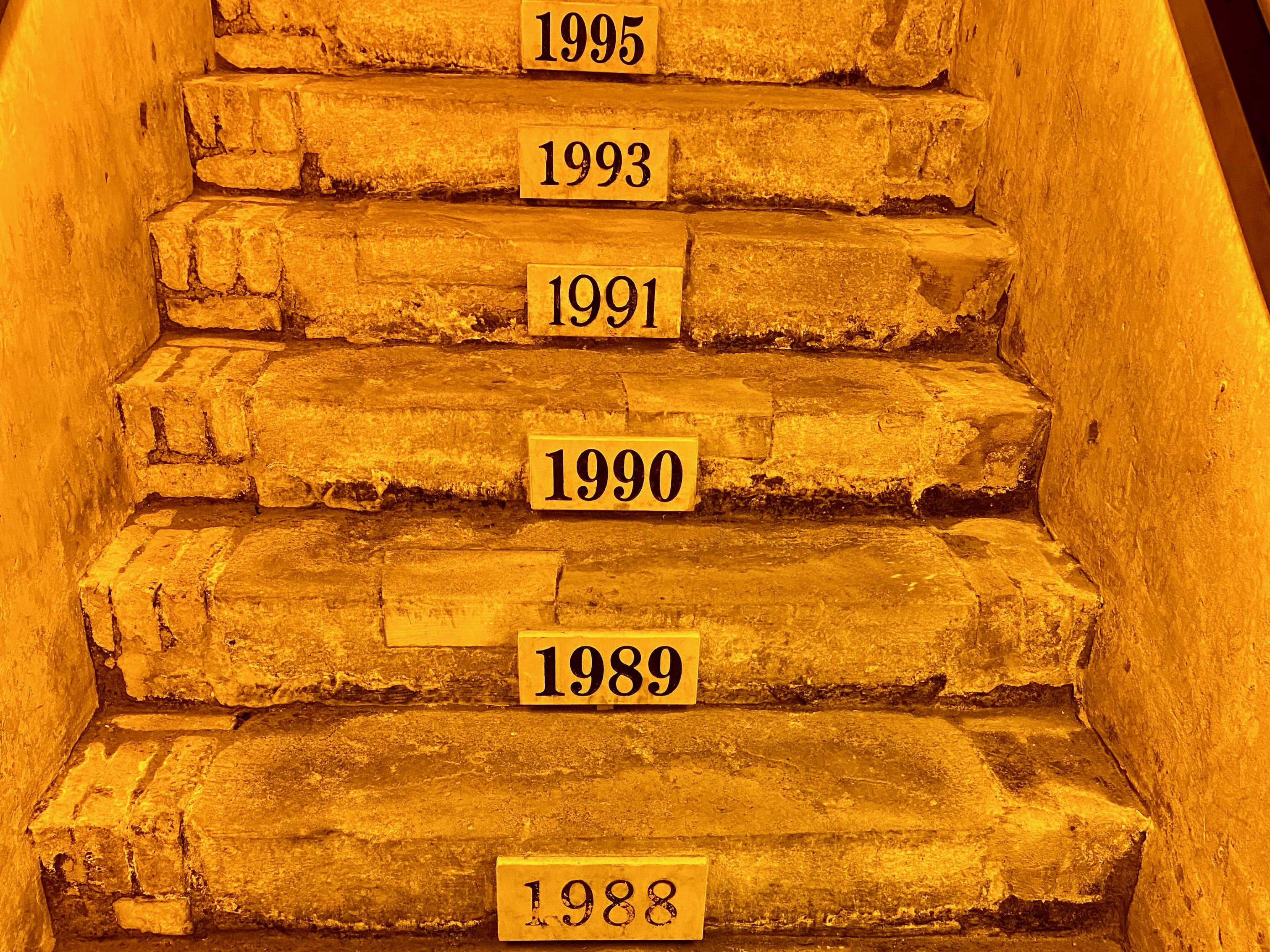 Private Champagne tour — Mercedes V-Class, riddling racks, grower vigneron lunch, 9-glass tasting — image 16