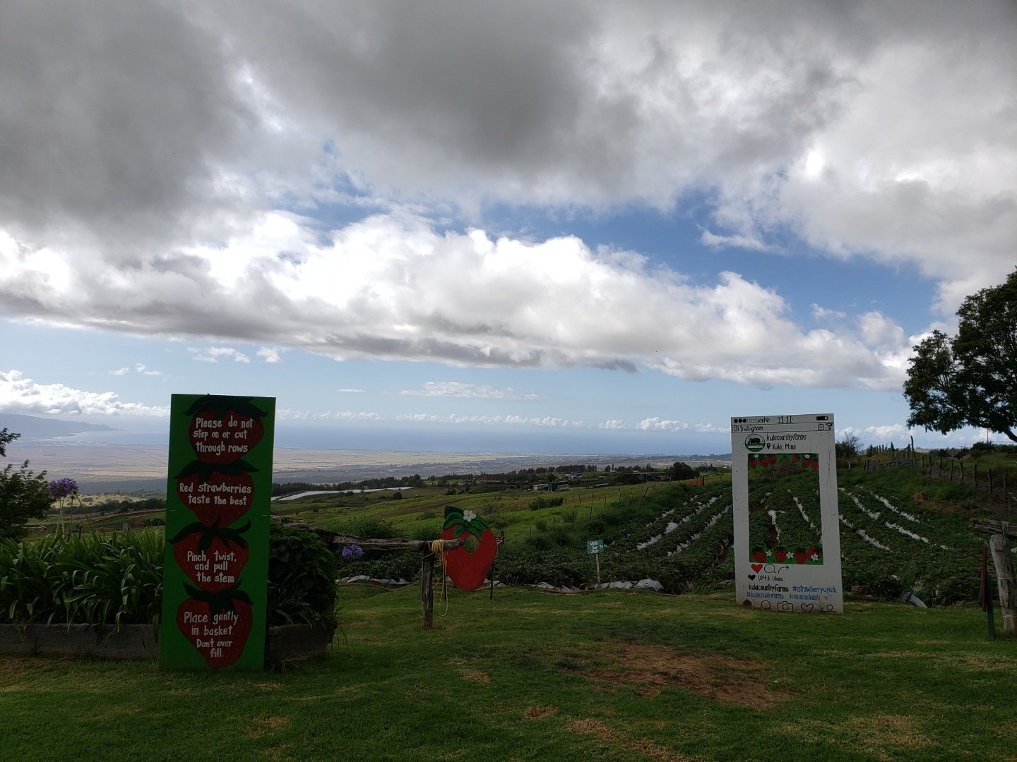Road to Hana tour on Maui — Hāna Highway waterfalls and black-sand beach — image 1