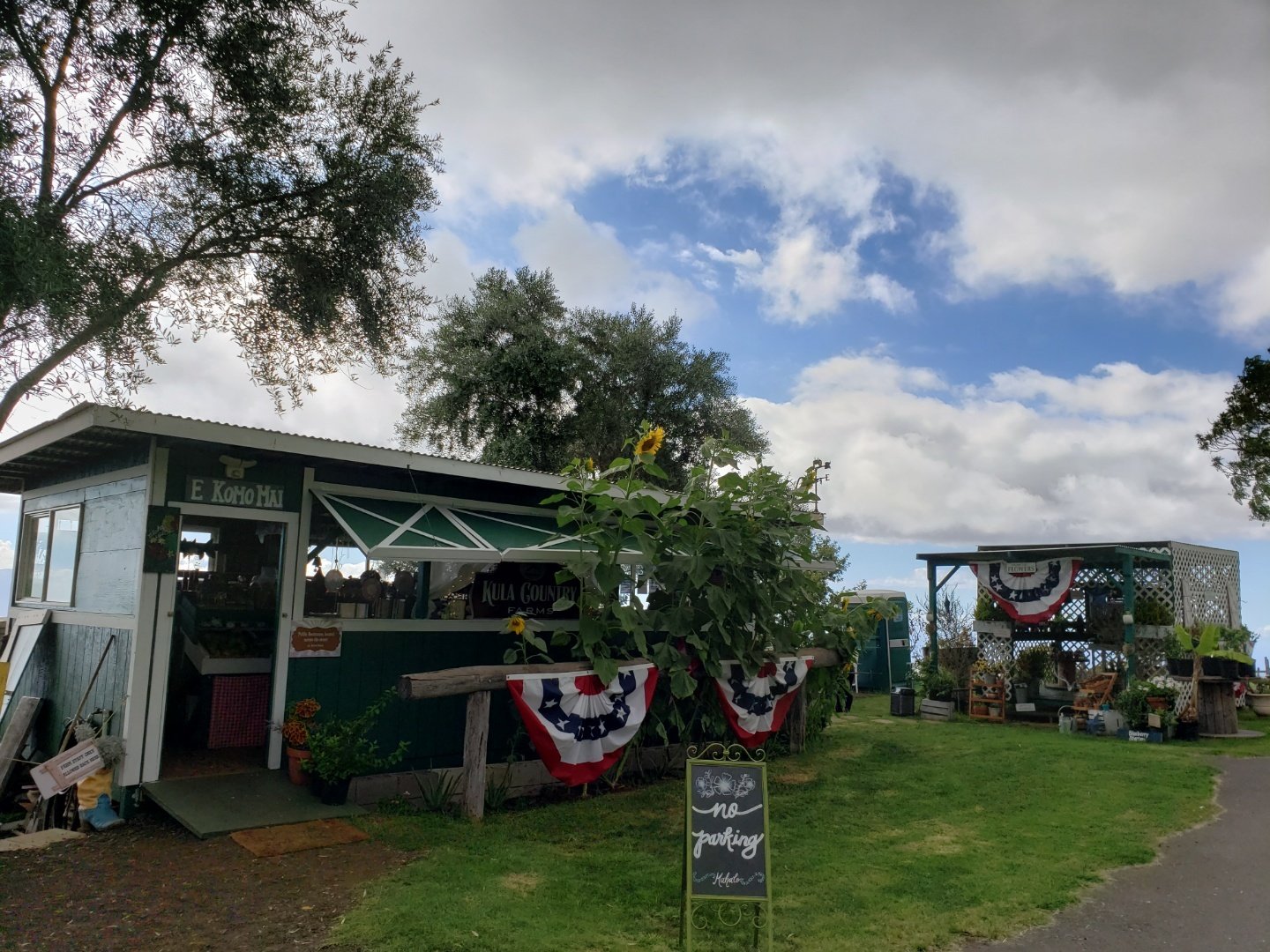 Road to Hana tour on Maui — Hāna Highway waterfalls and black-sand beach — image 5