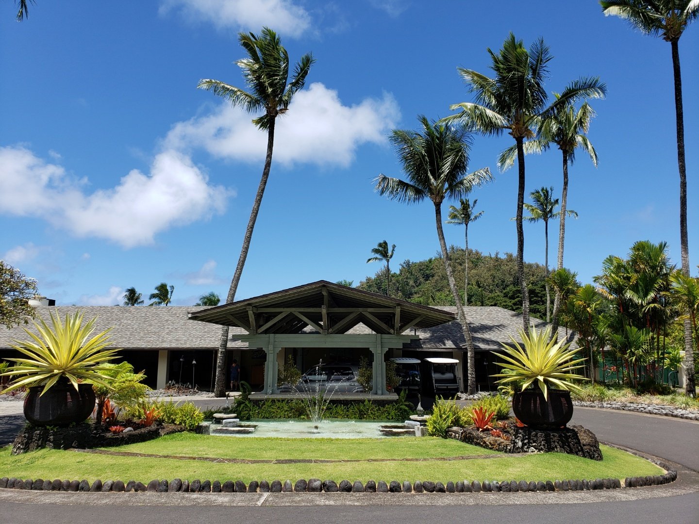 Road to Hana tour on Maui — Hāna Highway waterfalls and black-sand beach — image 9