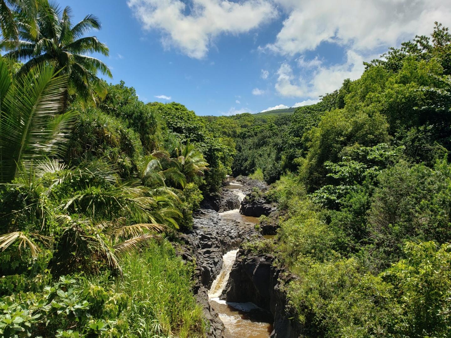 Road to Hana tour on Maui — Hāna Highway waterfalls and black-sand beach — image 8