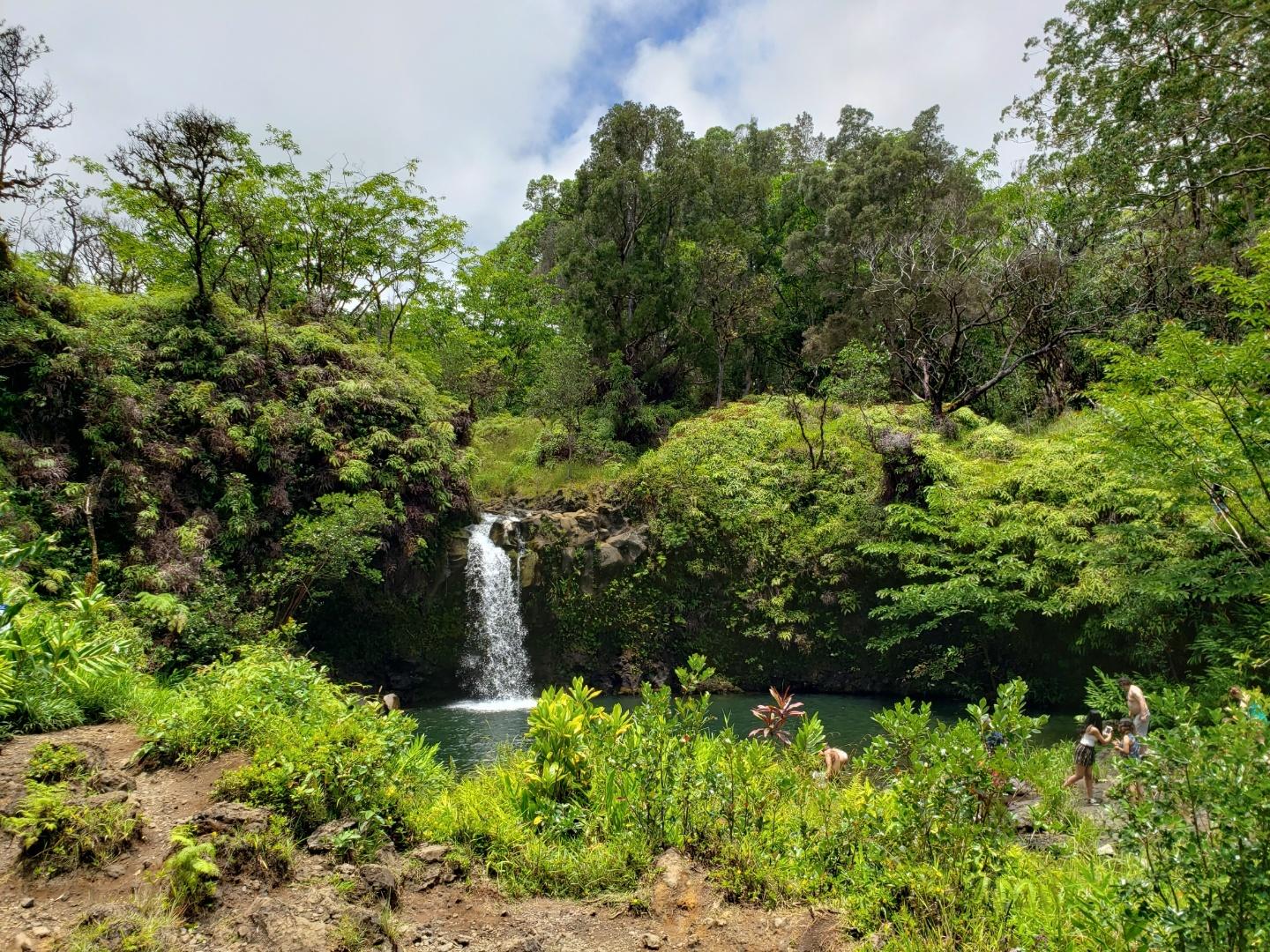 Road to Hana tour on Maui — Hāna Highway waterfalls and black-sand beach — image 7