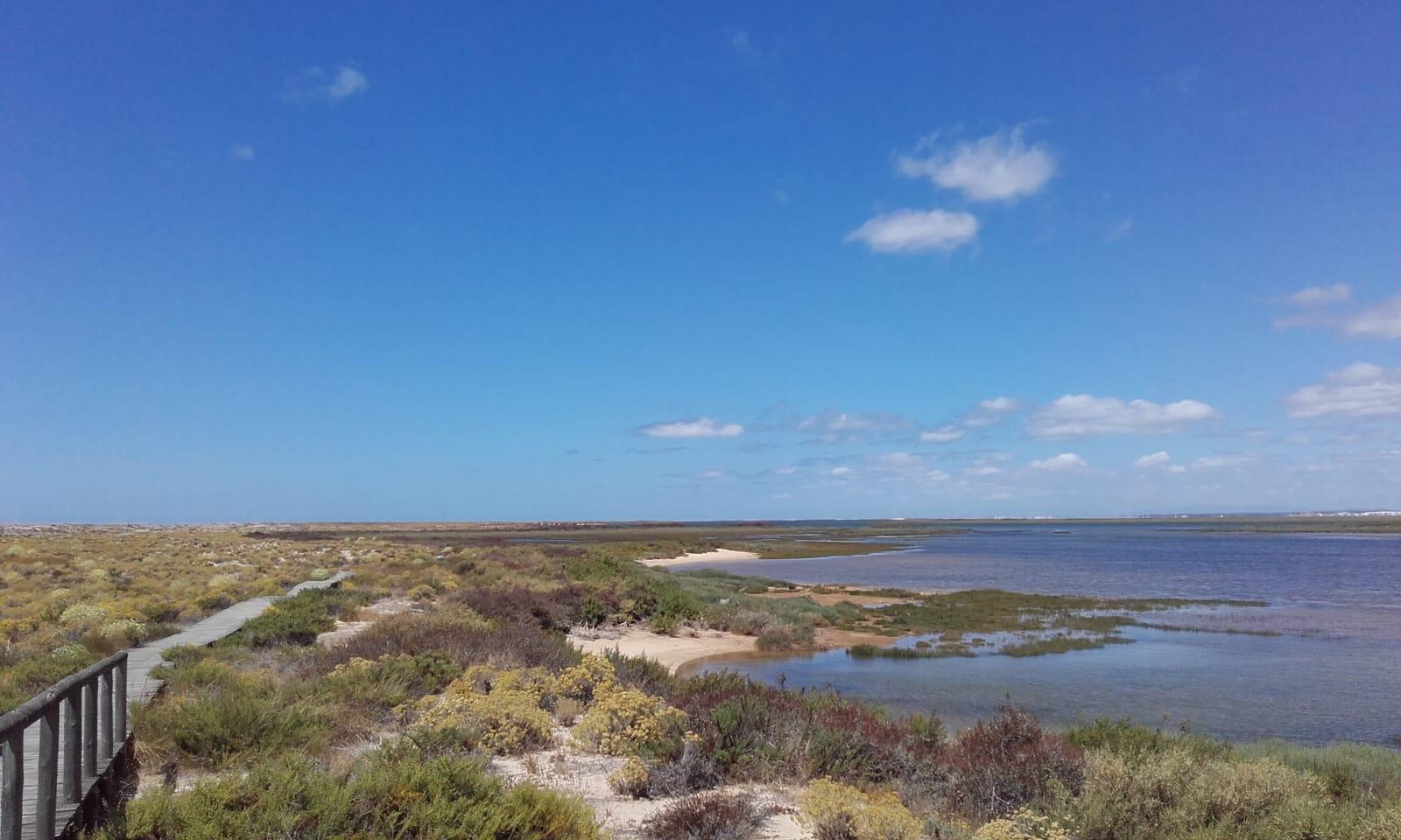 Ria Formosa island boat tour from Faro to Deserta and Farol — image 5