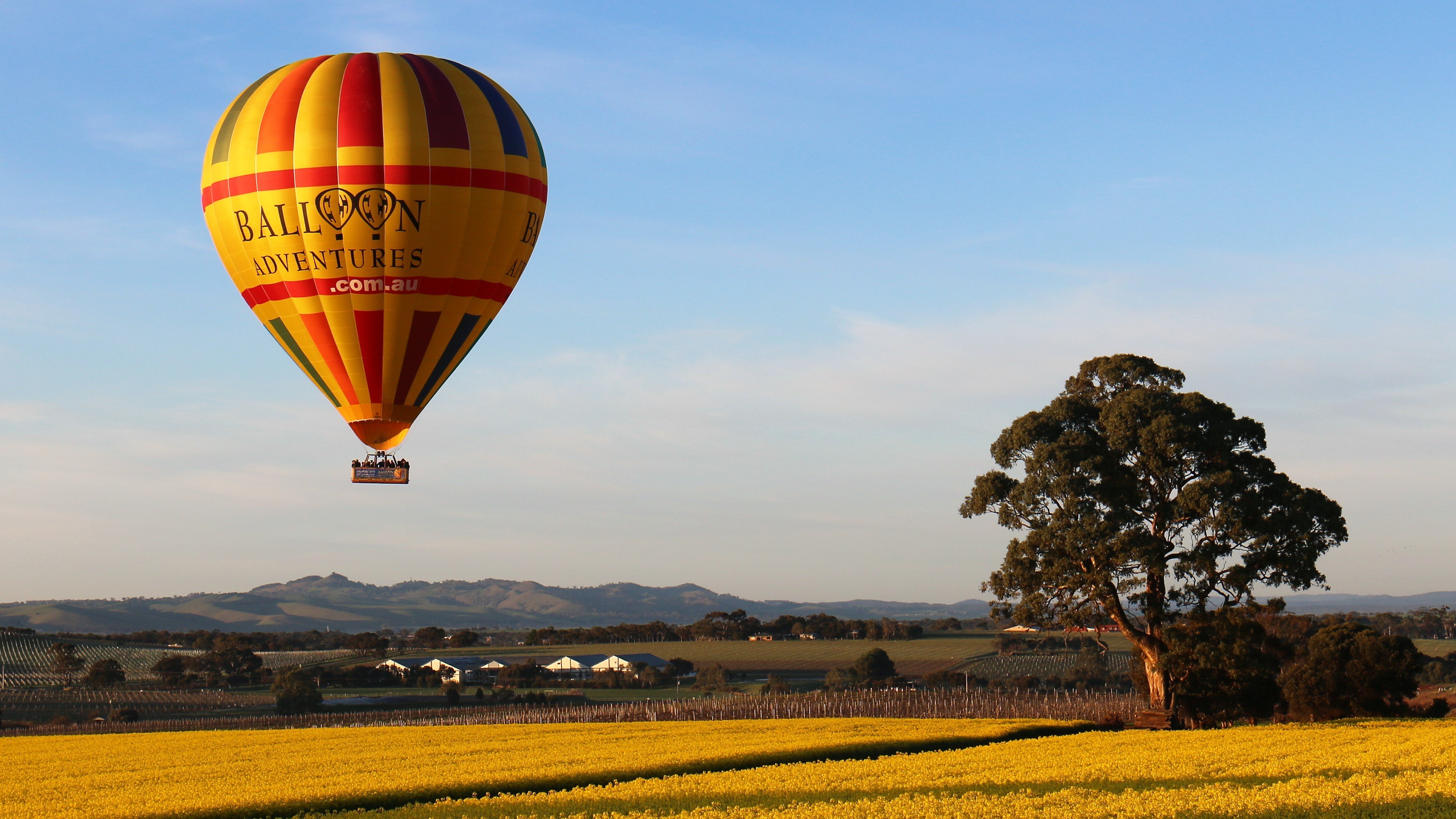 Barossa Valley Hot Air Balloon Flight & Breakfast