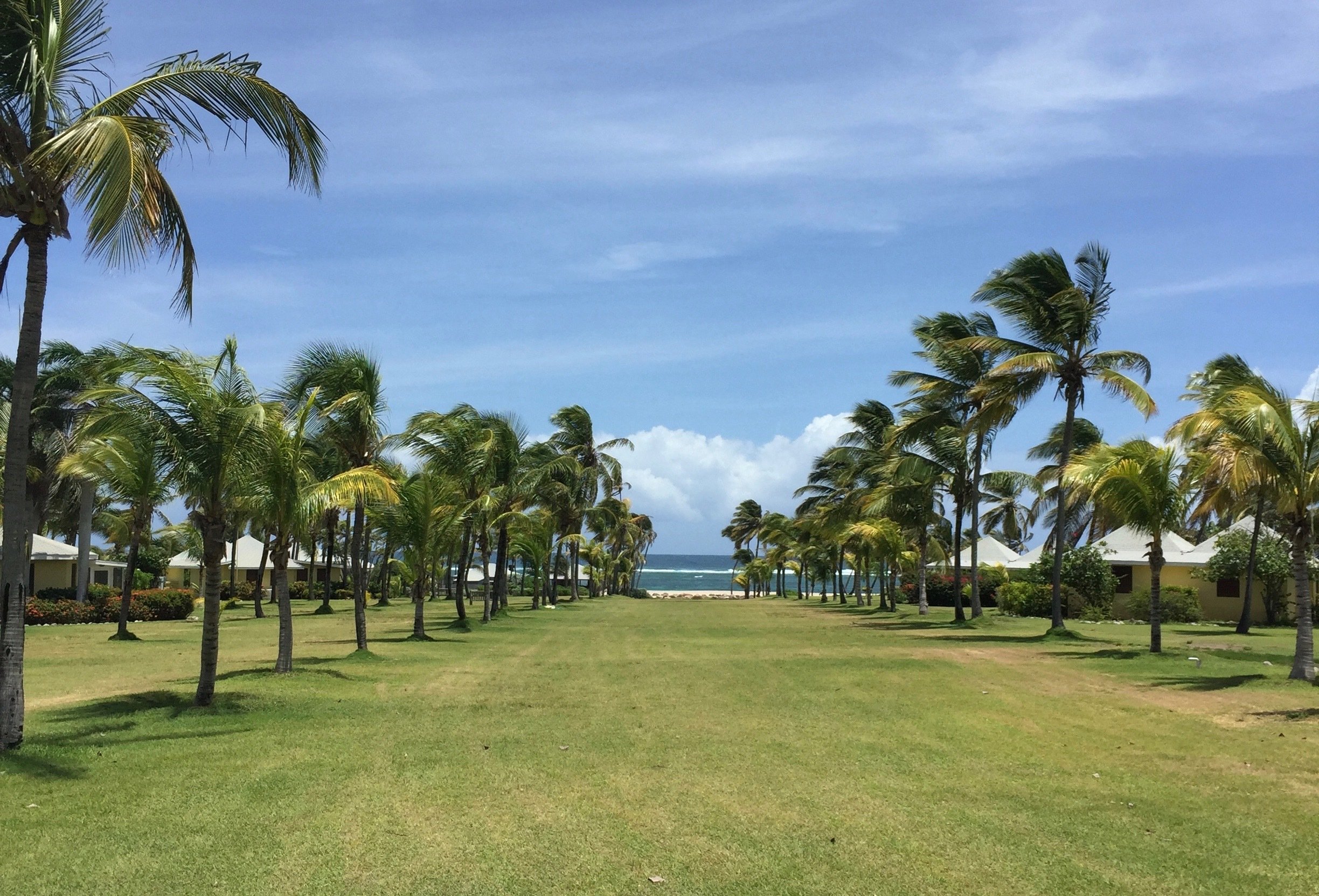 Nevis Island Discovery with Beach Lunch