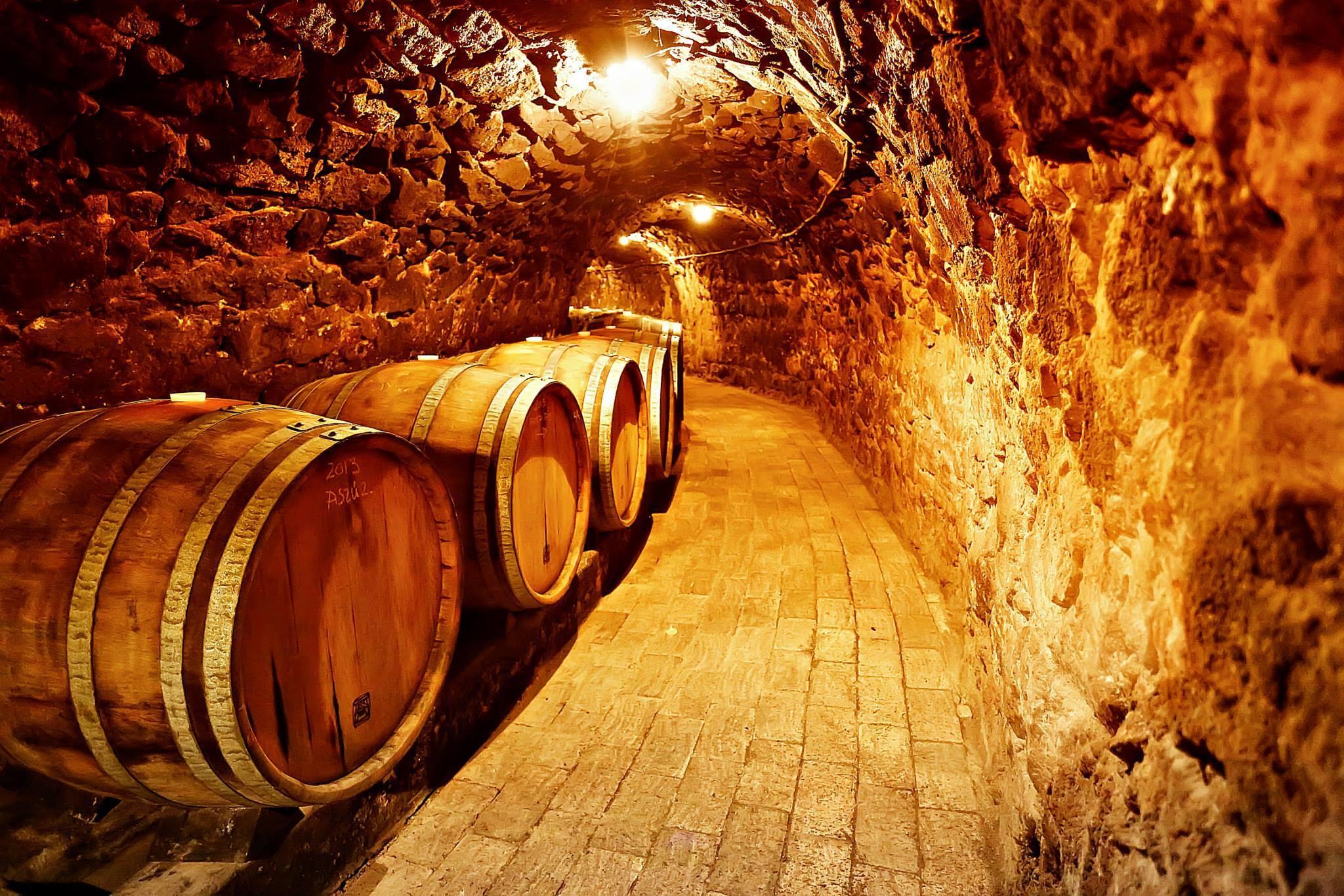 Tokaj Winery Experience with Vineyard Walk