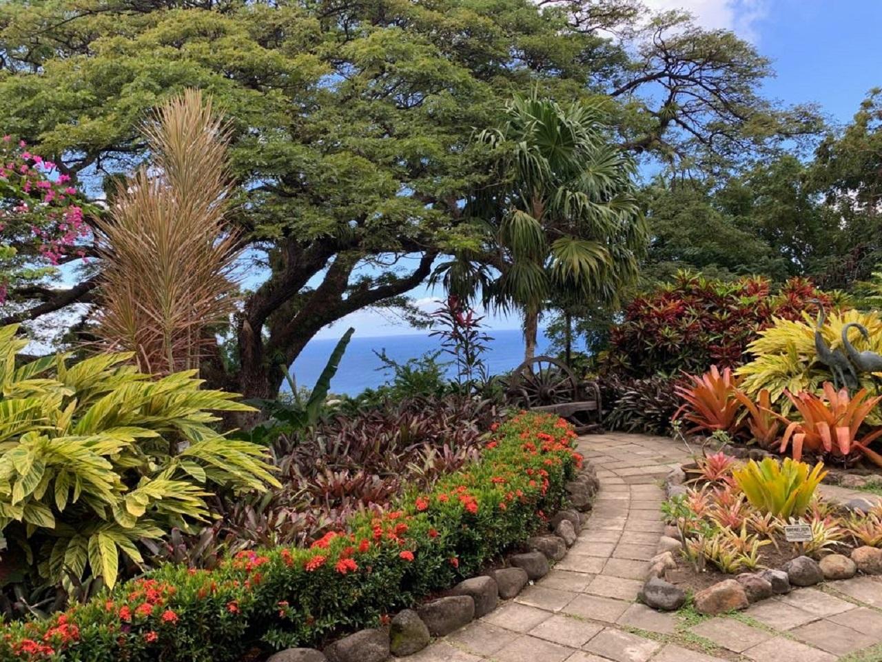 St. Kitts Island Highlights Tour