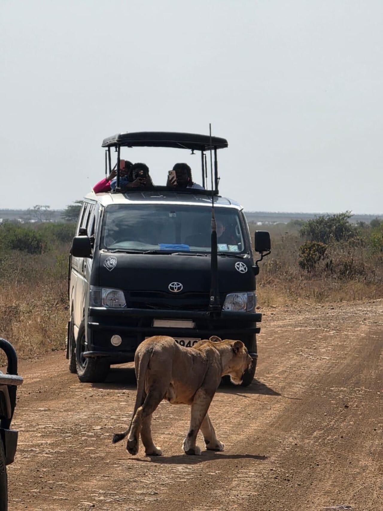 Nairobi National Park 5-Hour 4x4 Wildlife Safari