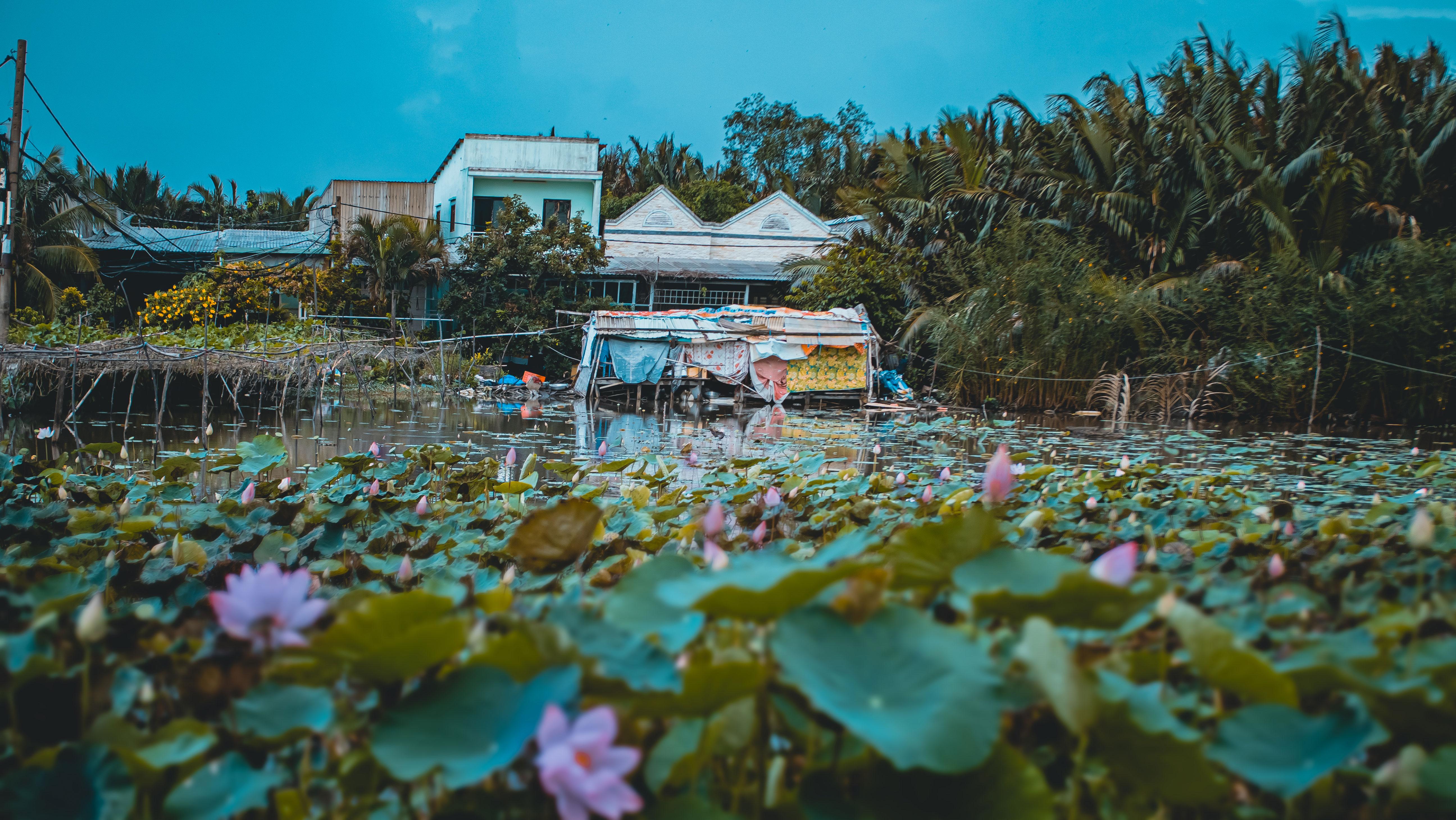 Saigon Secret Mekong: Half-Day Cycling Adventure on Thanh Da Island