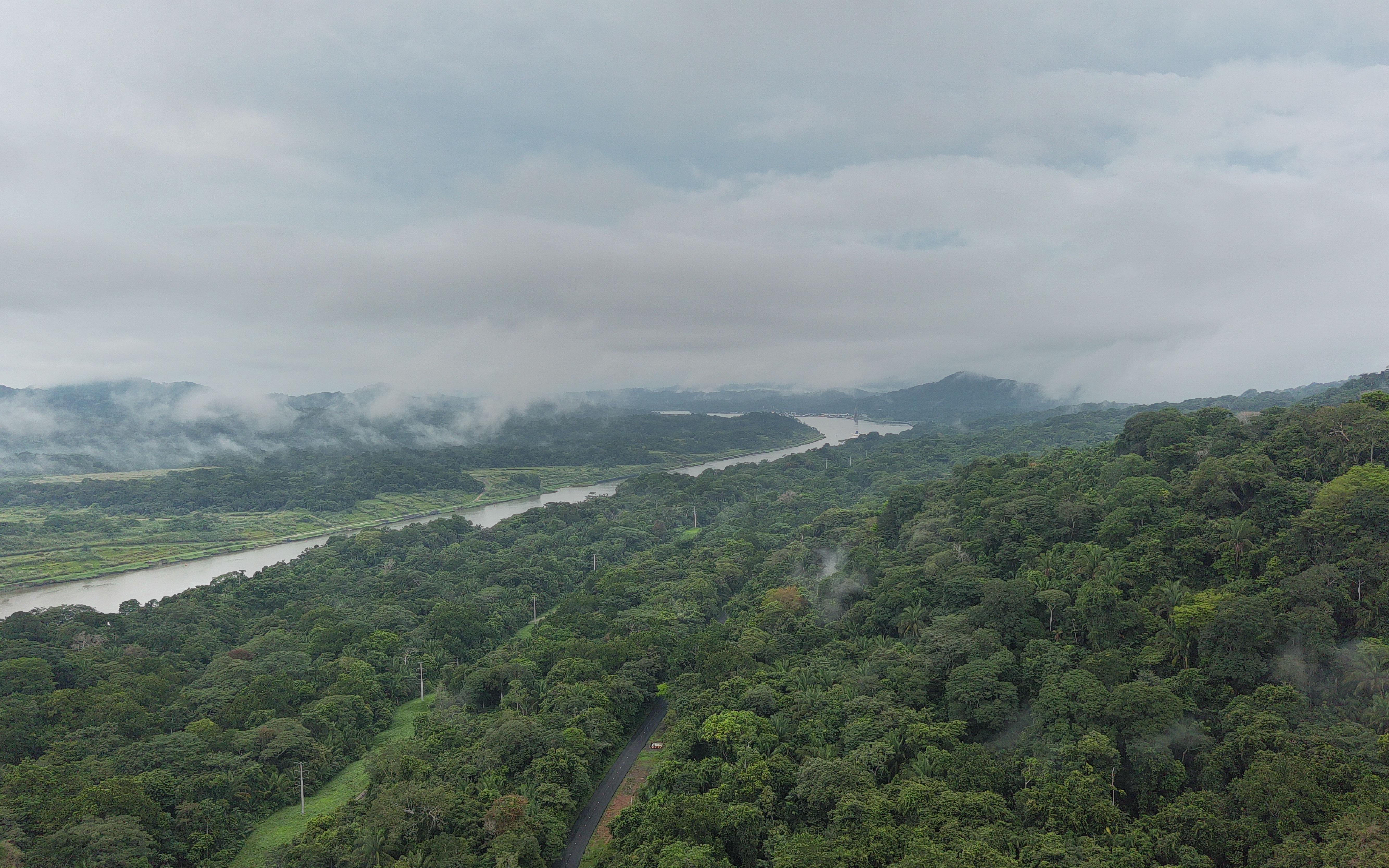 Panama Canal Wildlife Safari: Monkeys, Sloths & Rainforest
