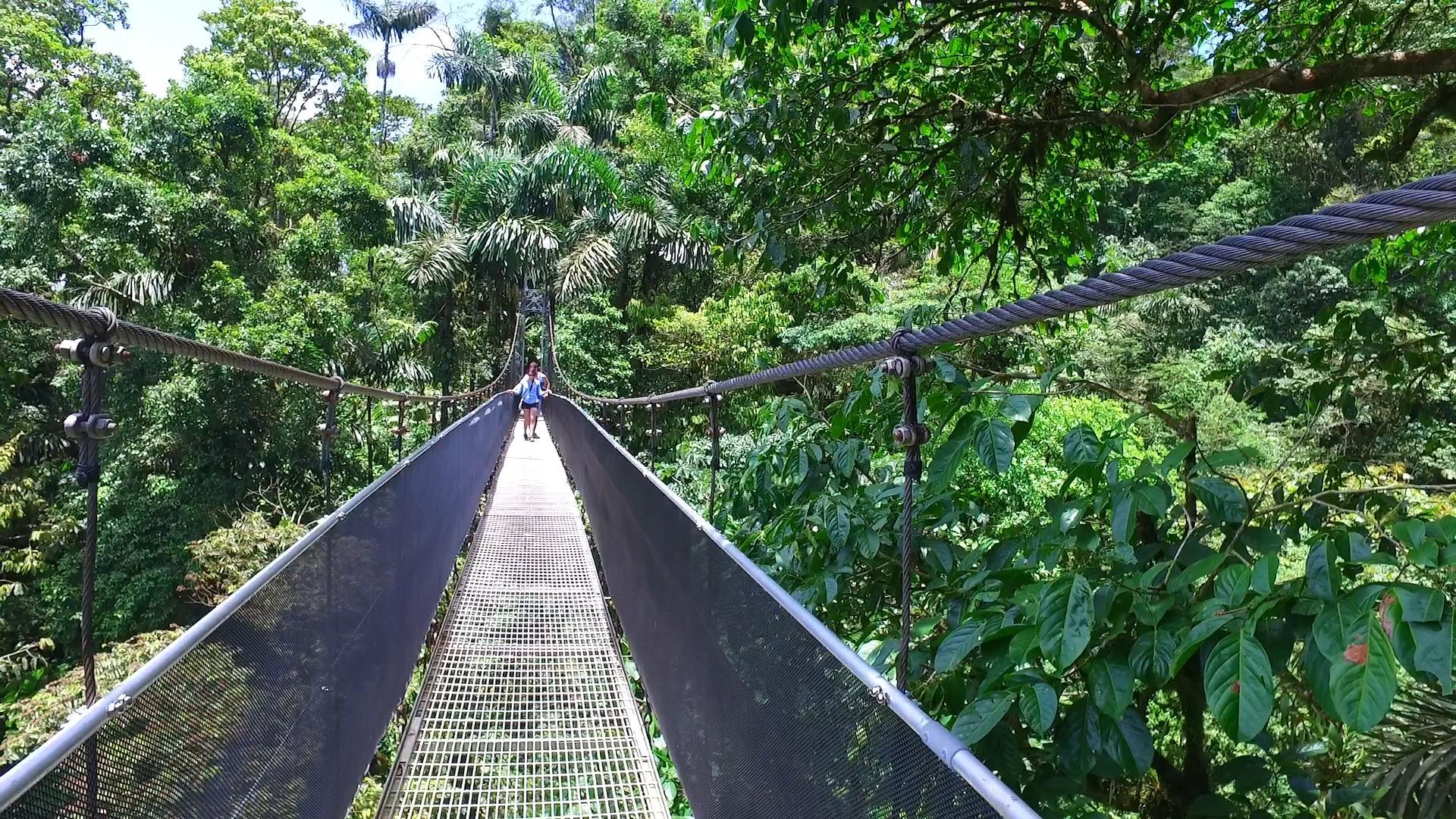 Arenal Volcano, Hanging Bridges & La Fortuna Waterfall Full-Day Tour