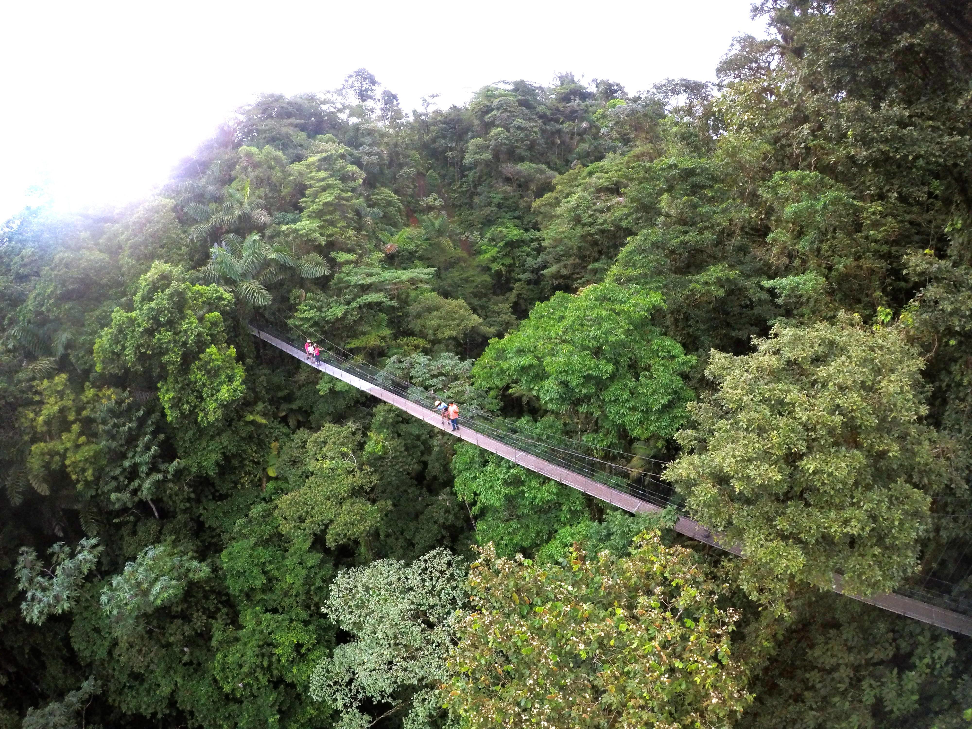 Arenal Volcano, Hanging Bridges & La Fortuna Waterfall Full-Day Tour