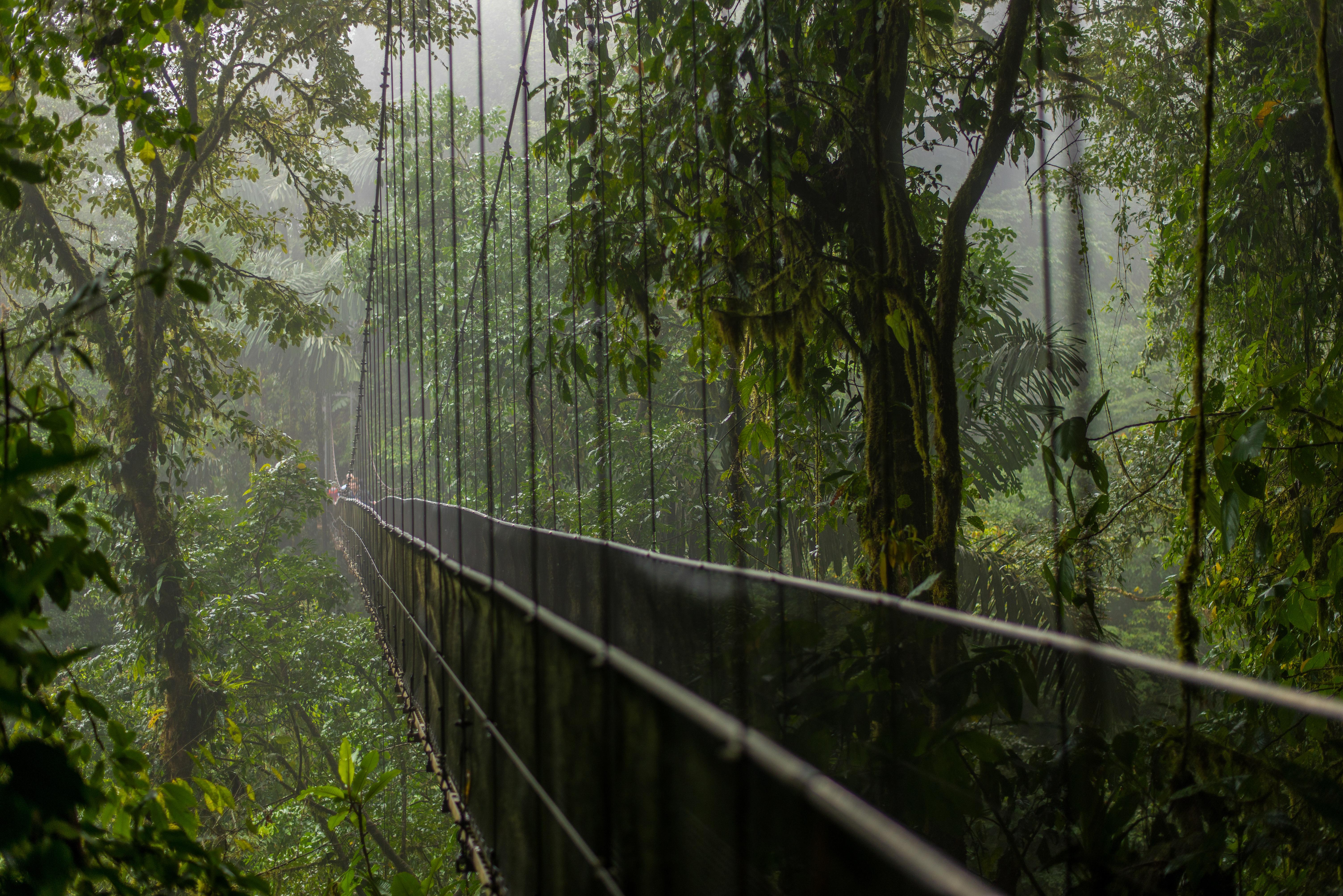 Arenal Volcano, Hanging Bridges & La Fortuna Waterfall Full-Day Tour