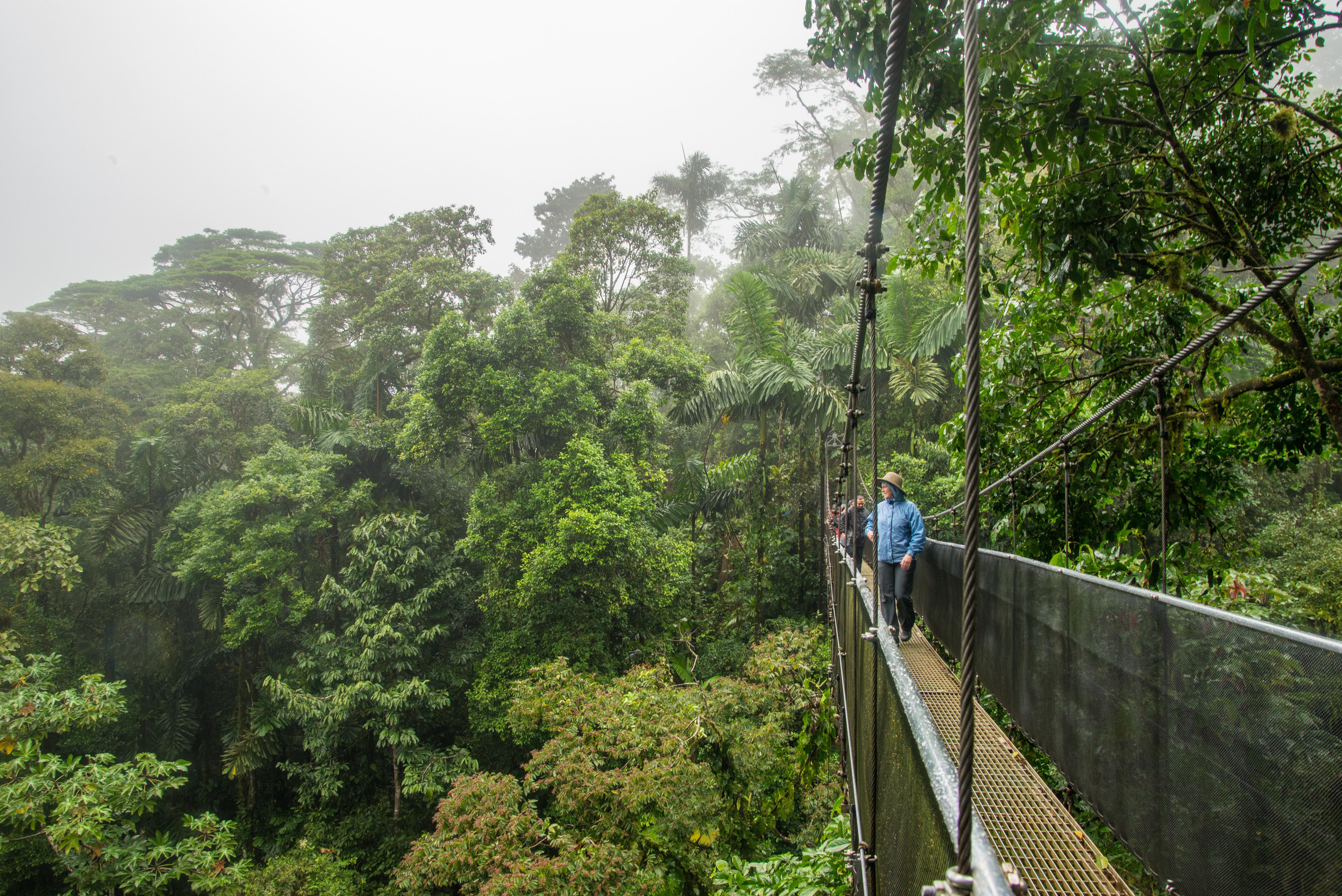 Arenal Volcano, Hanging Bridges & La Fortuna Waterfall Full-Day Tour