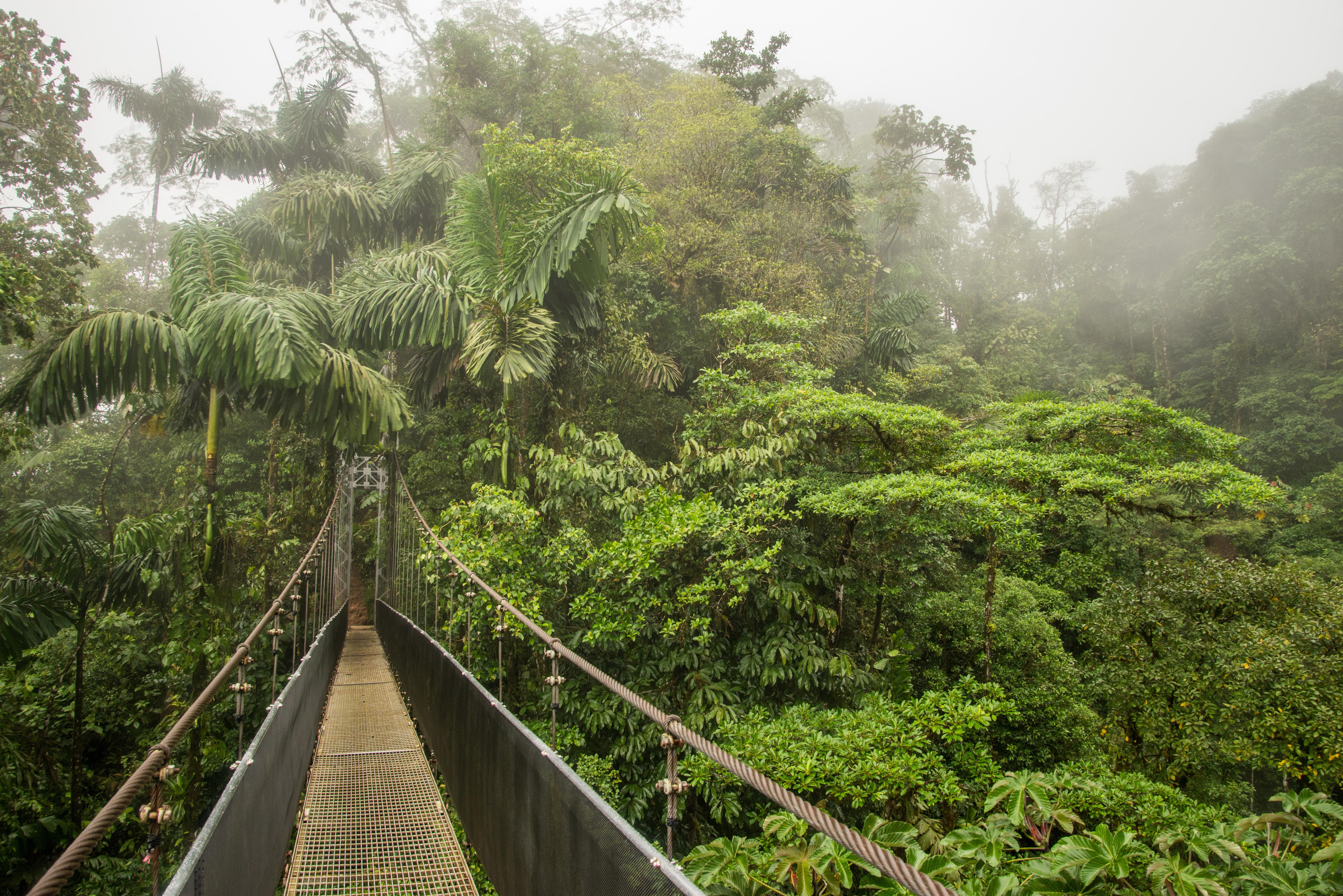 Arenal Volcano, Hanging Bridges & La Fortuna Waterfall Full-Day Tour