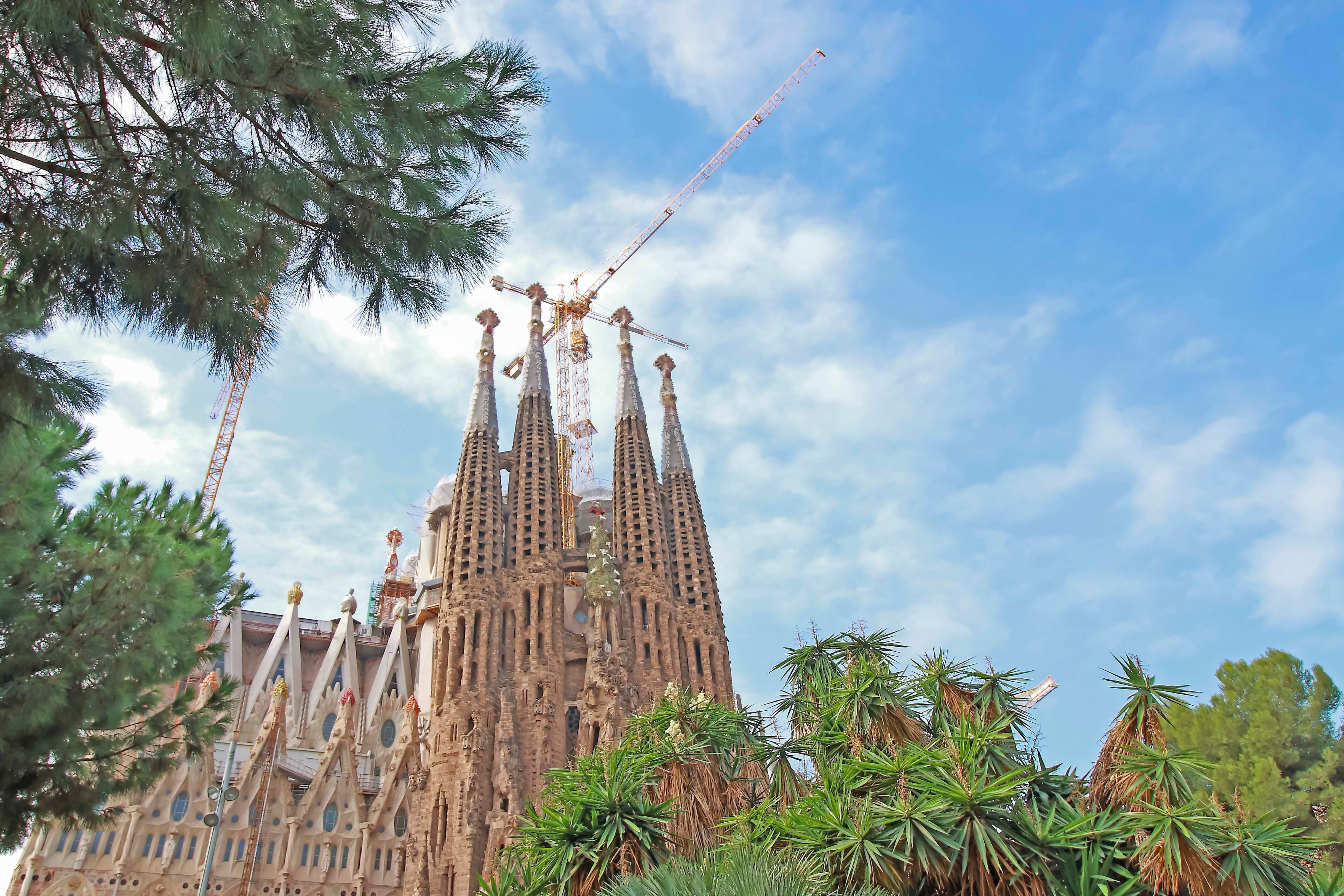 Barcelona: Sagrada Familia Tour with Optional Tower Access - 2026 (Verified Reviews)