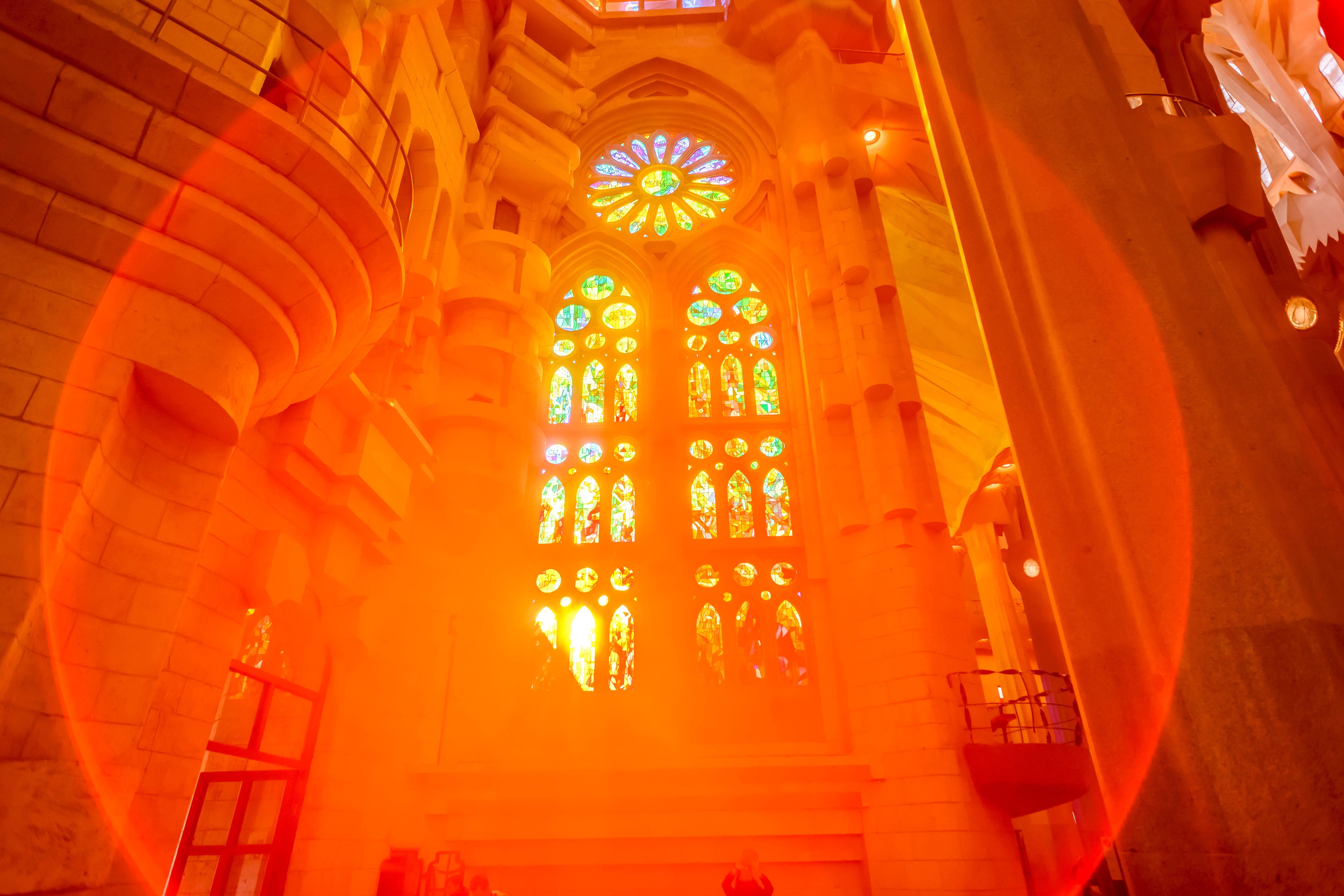 Barcelona: Sagrada Familia Tour with Optional Tower Access - 2026 (Verified Reviews)