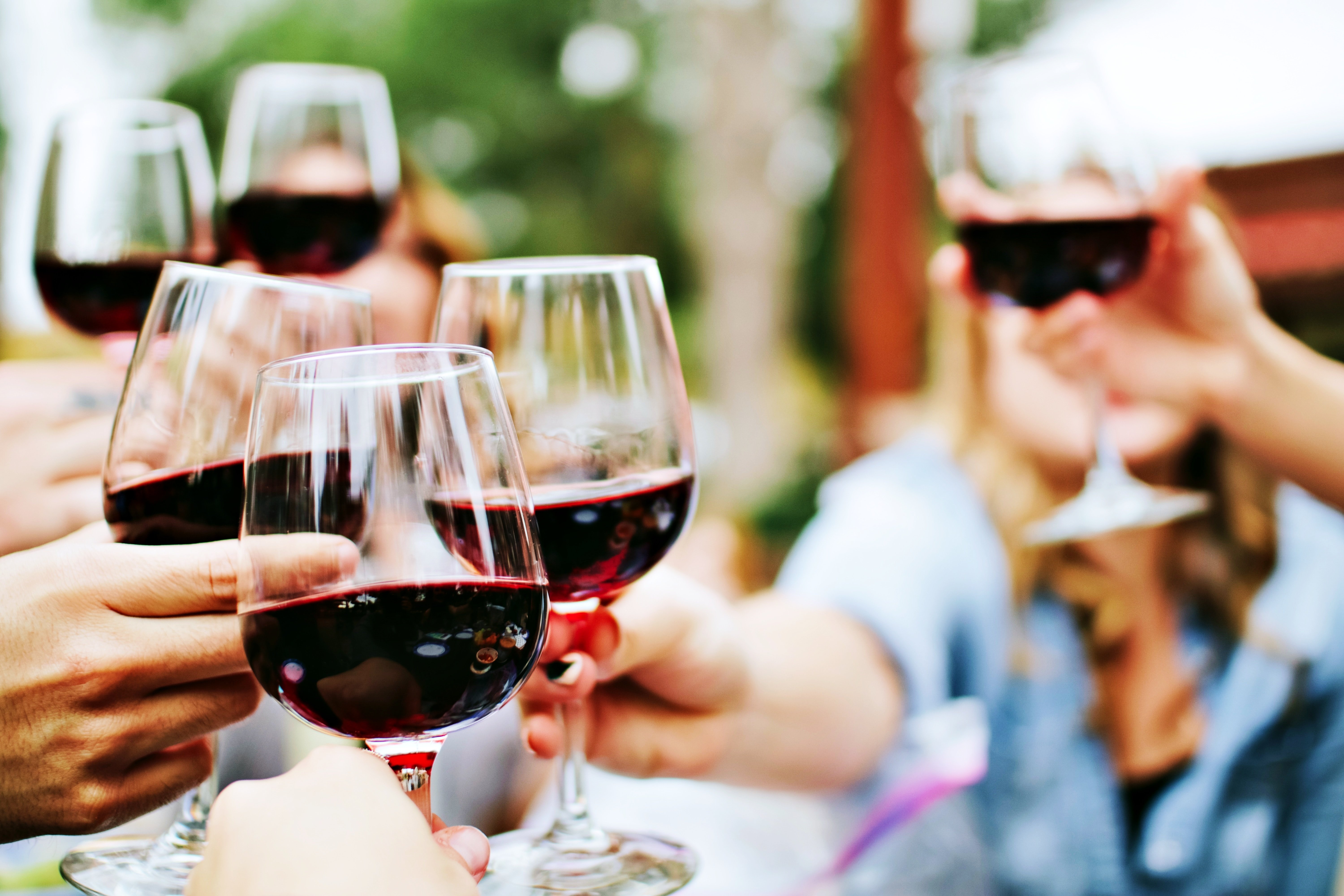 Niagara-on-the-Lake wine tour — VQA wineries on the Niagara Peninsula, Ontario — image 8