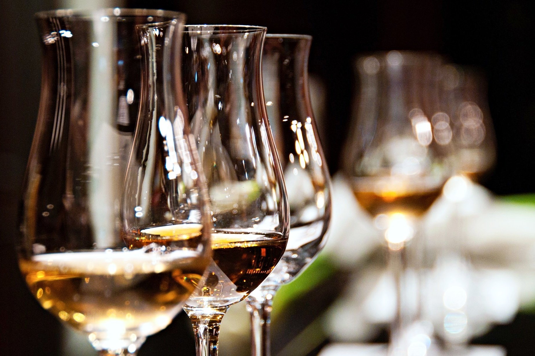 Niagara-on-the-Lake wine tour — VQA wineries on the Niagara Peninsula, Ontario — image 15